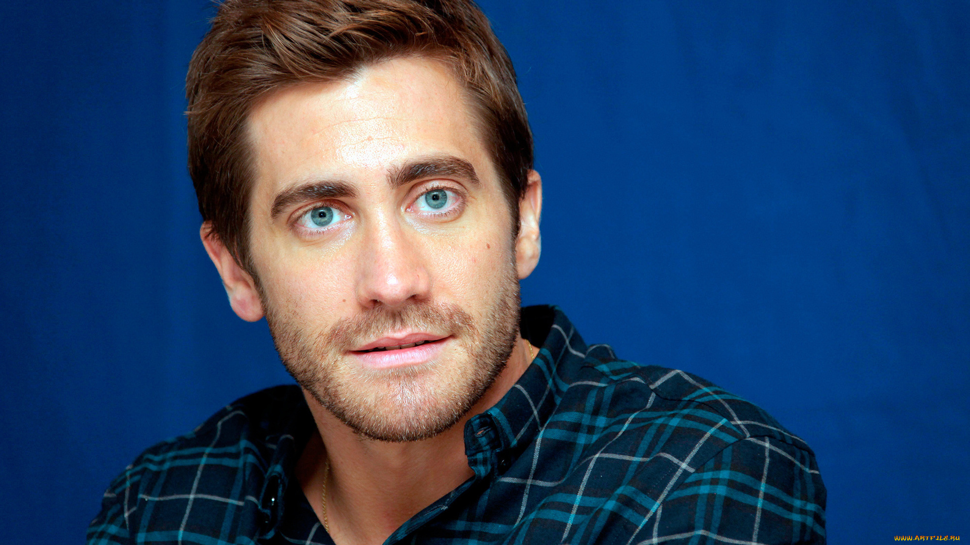 мужчины, jake, gyllenhaal, бородка