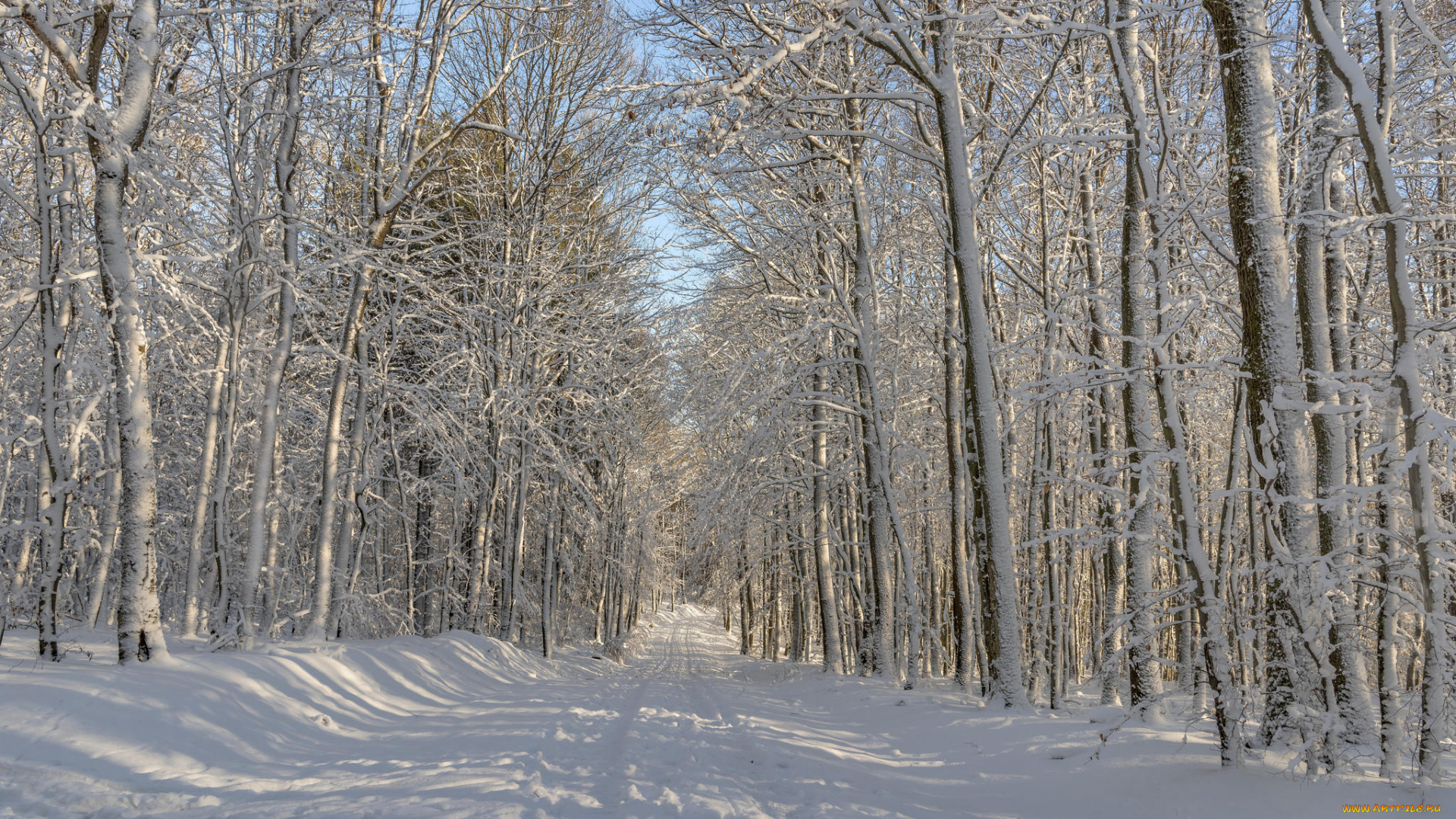 природа, зима, пейзаж, дорога, деревья, лес
