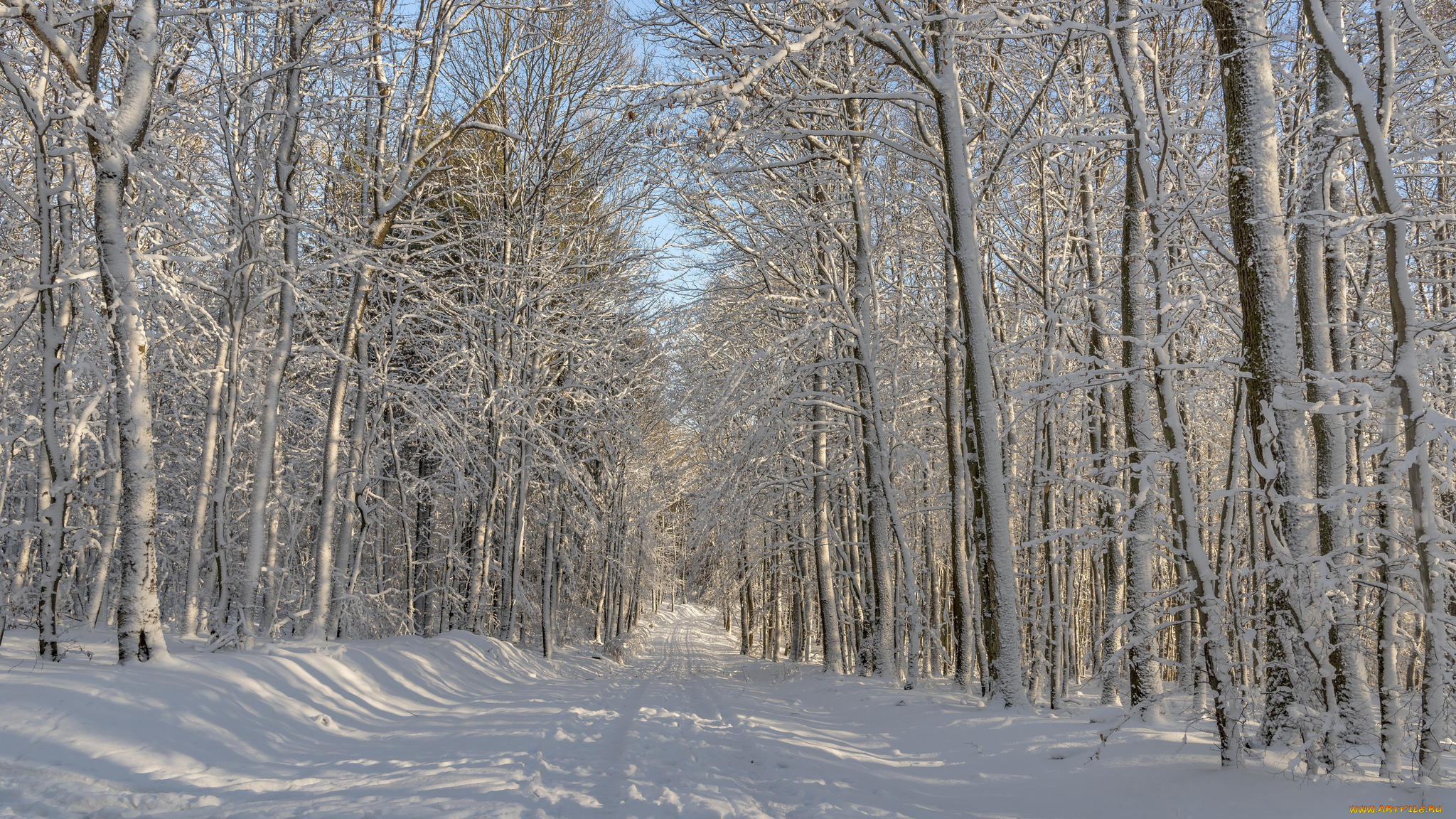 природа, зима, пейзаж, дорога, деревья, лес