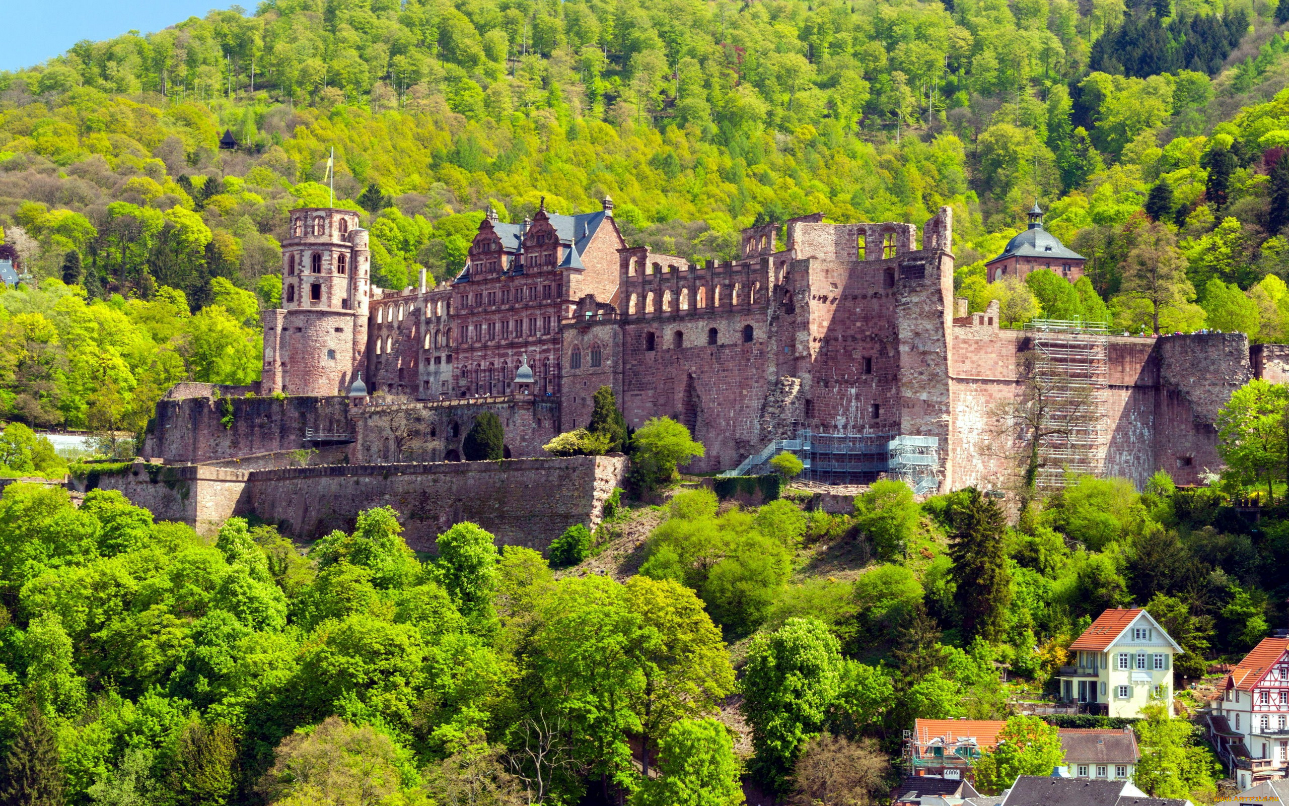 heidelberg, castle, города, замки, германии, heidelberg, castle