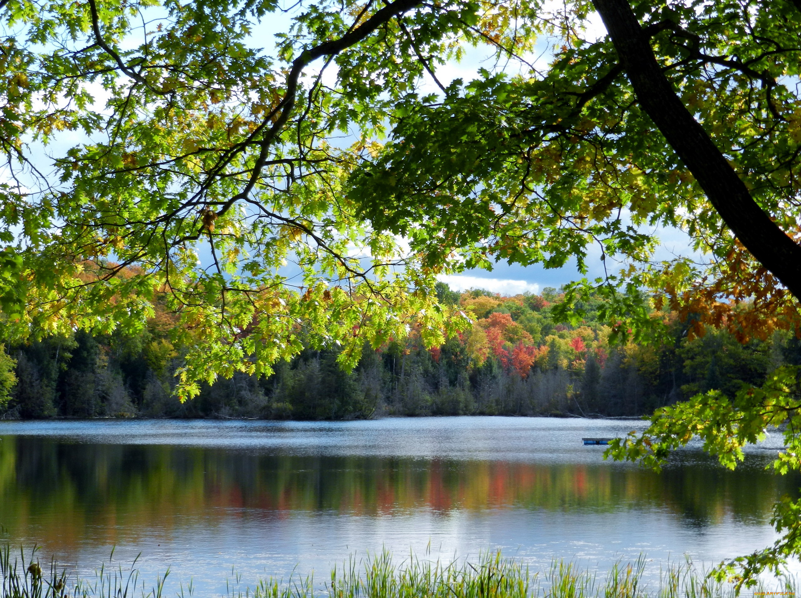 природа, реки, озера, деревья, река, осень