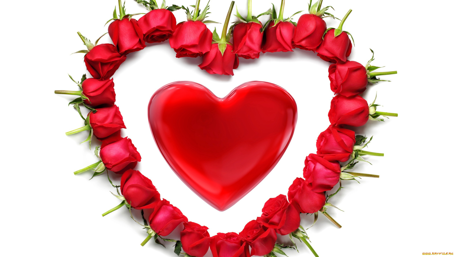 праздничные, день, святого, валентина, , сердечки, , любовь, сердечко, розы