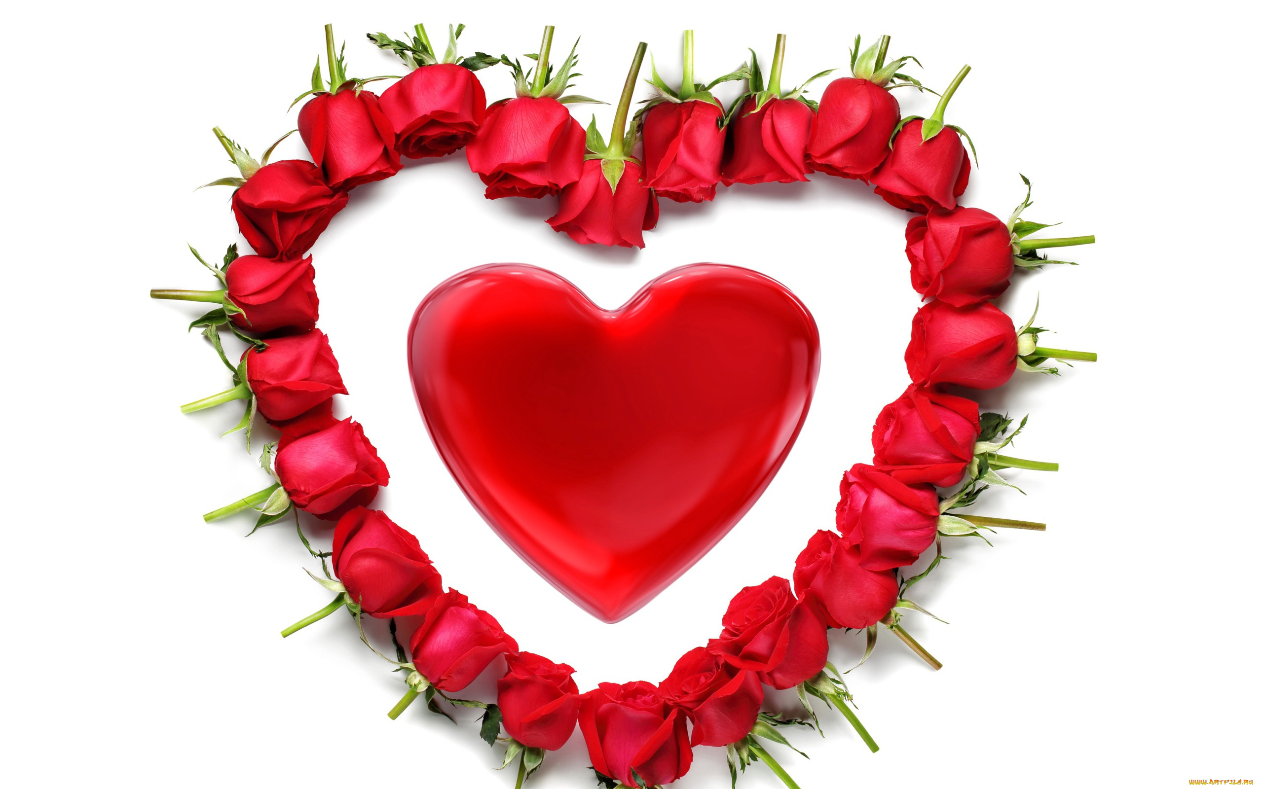 праздничные, день, святого, валентина, , сердечки, , любовь, сердечко, розы