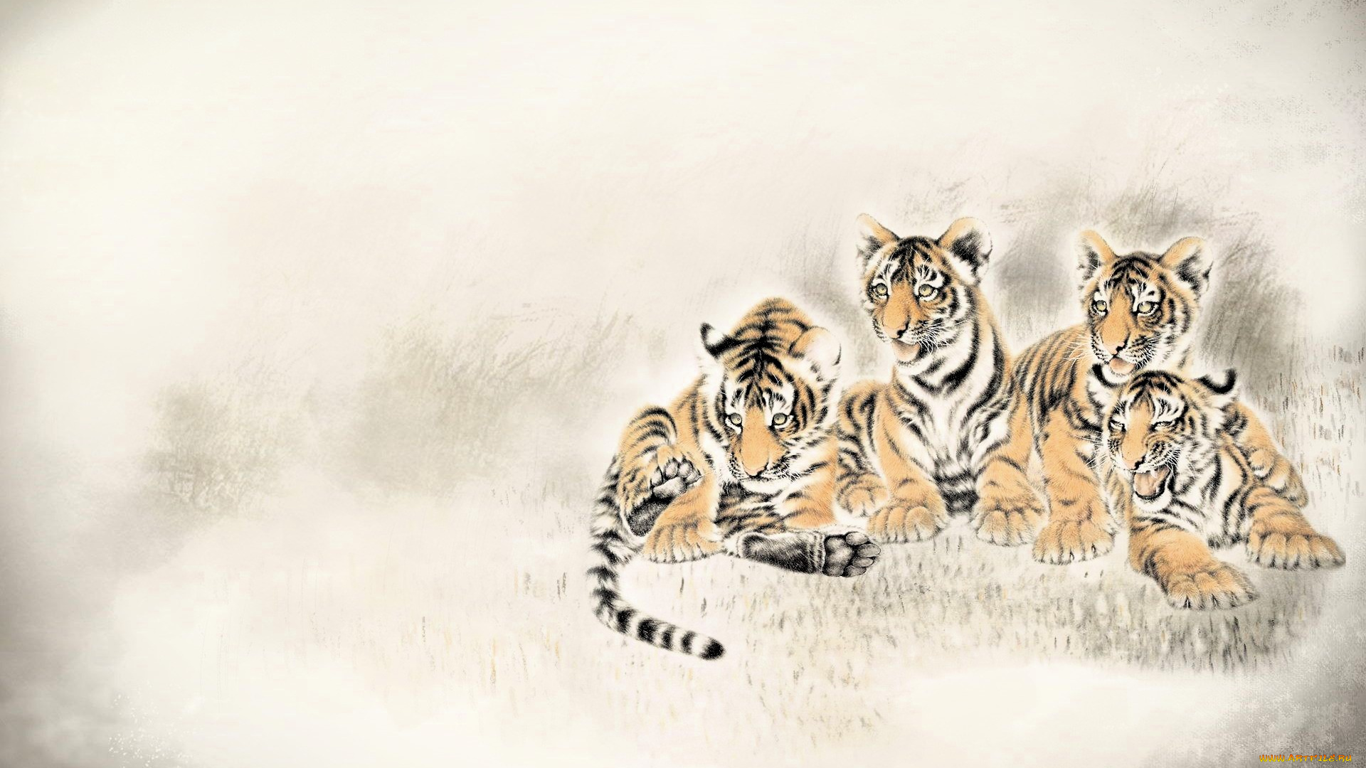 рисованное, животные, , тигры, тигрята