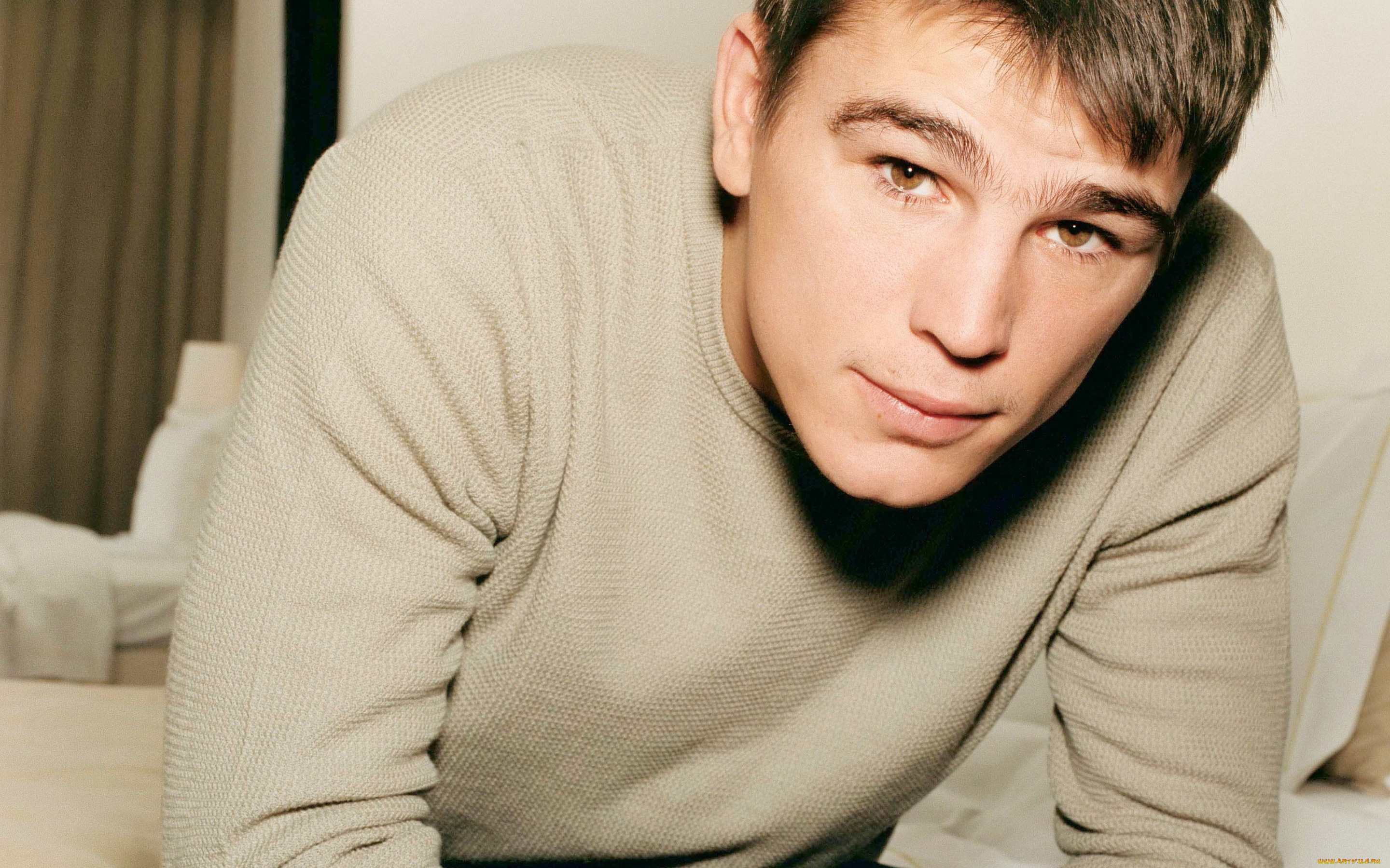 мужчины, josh, hartnett, актер, лицо, свитер