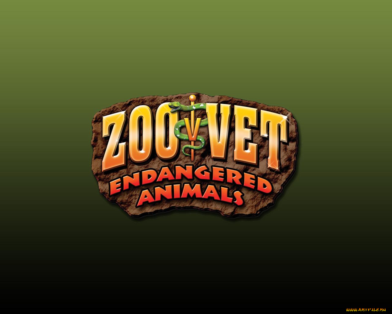zoo, vet, видео, игры