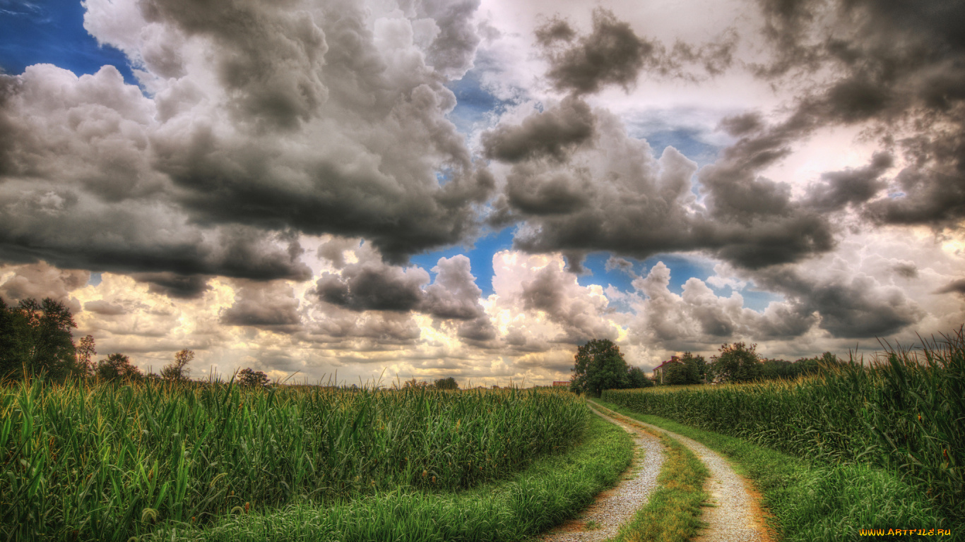природа дорога облака трава загрузить