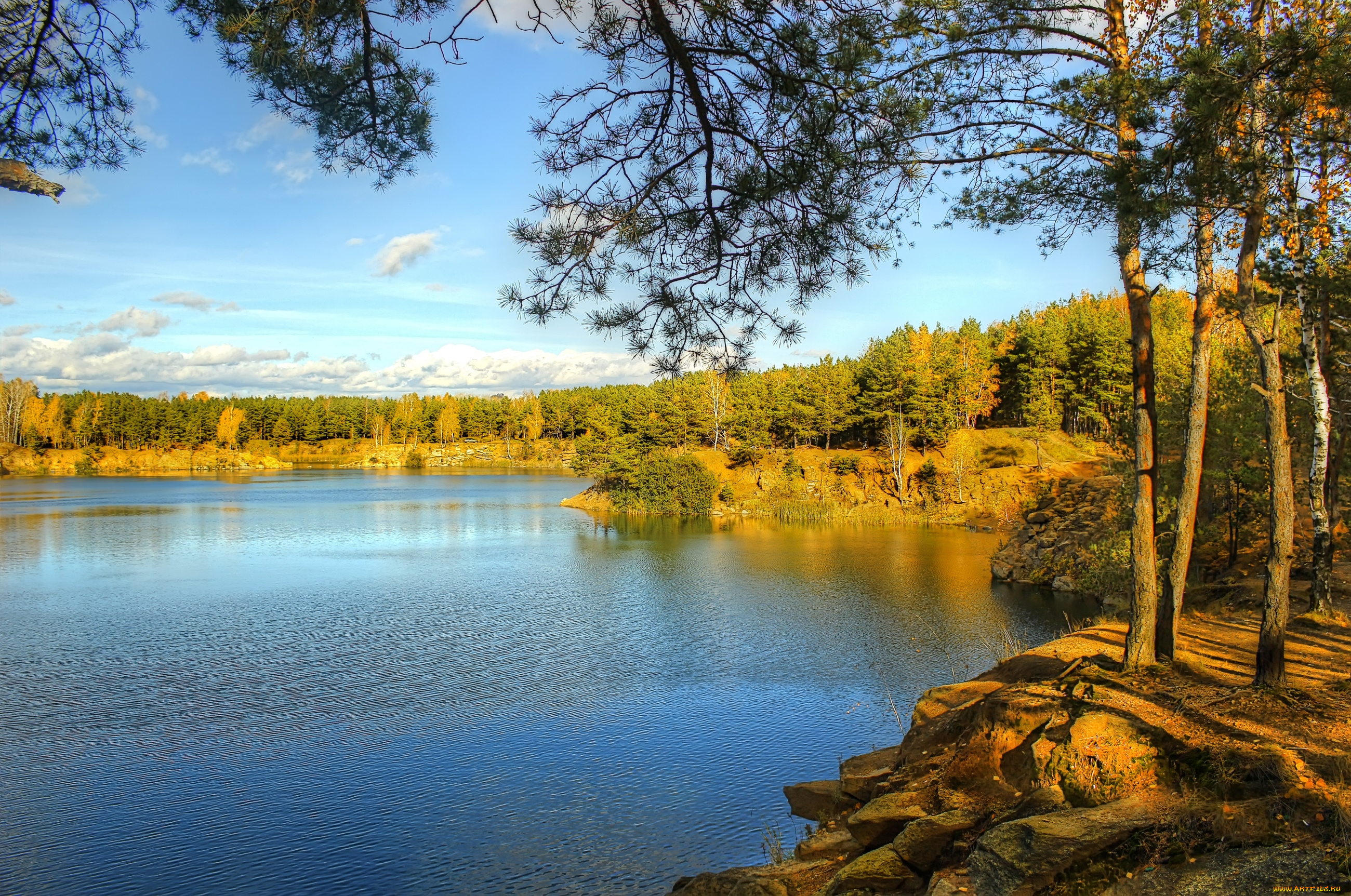 природа, реки, озера, вода, деревья