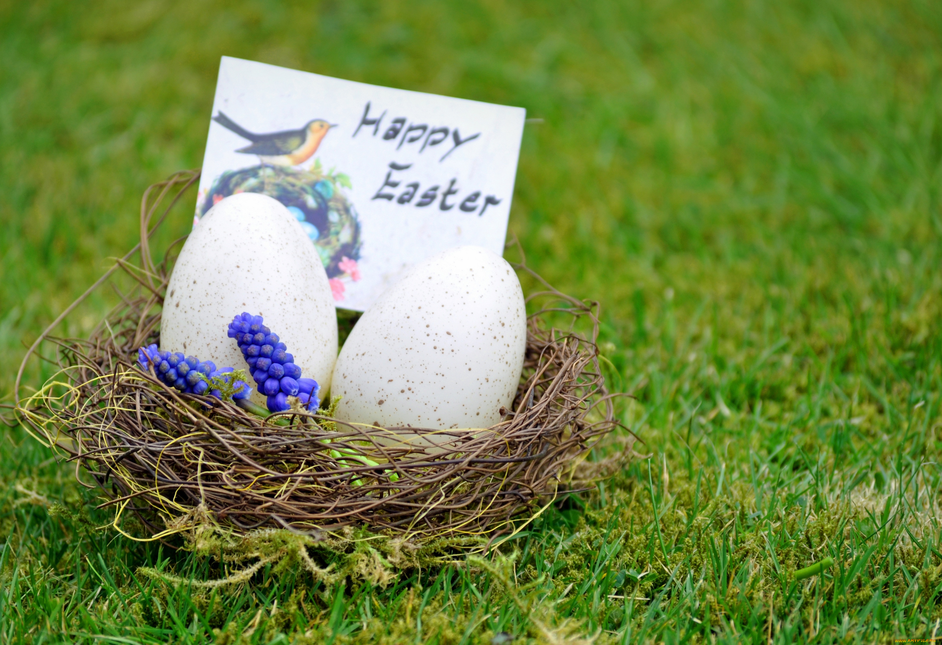 праздничные, пасха, easter, яйцо, цветы, трава, гнездо