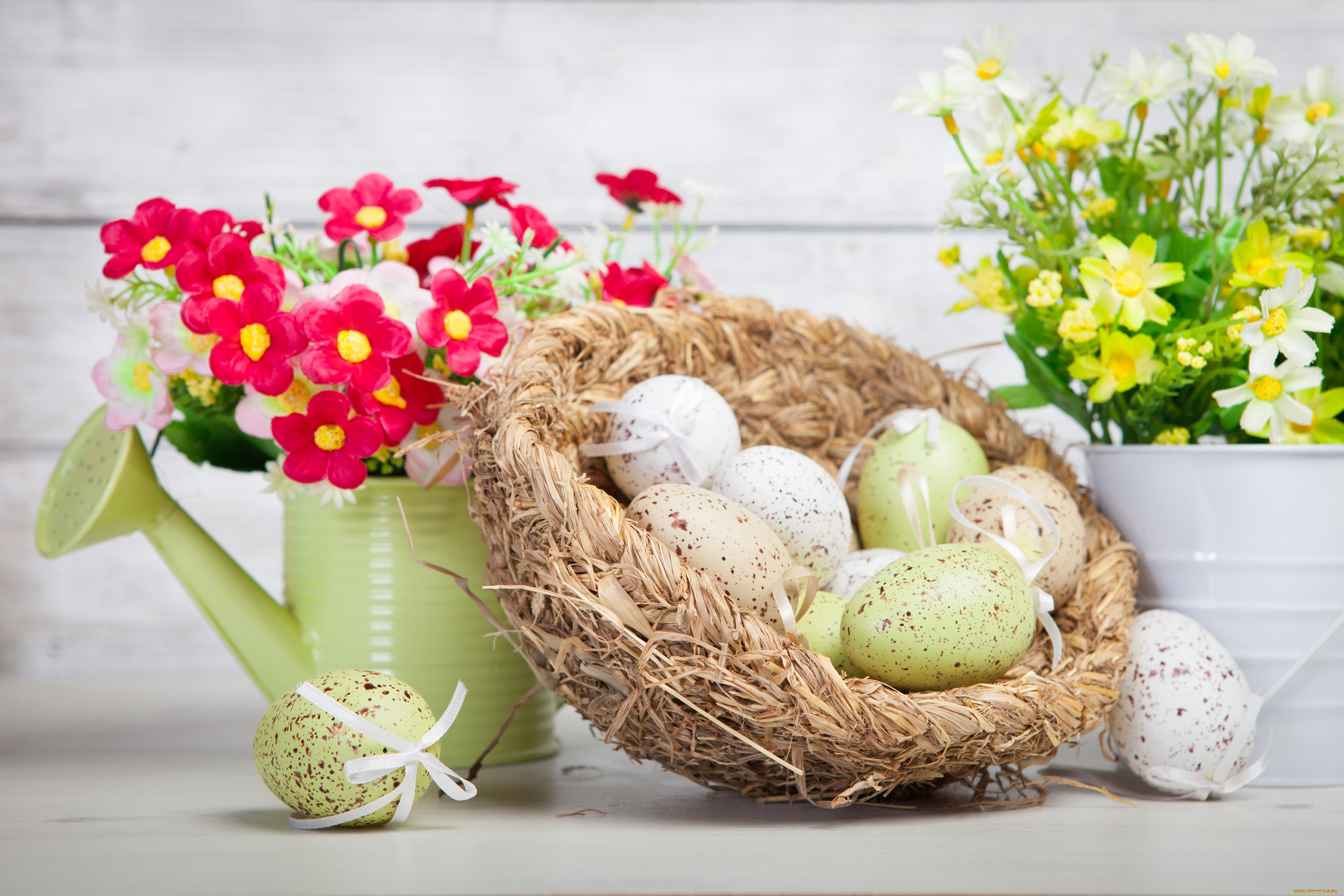праздничные, пасха, цветы, яйца, праздник
