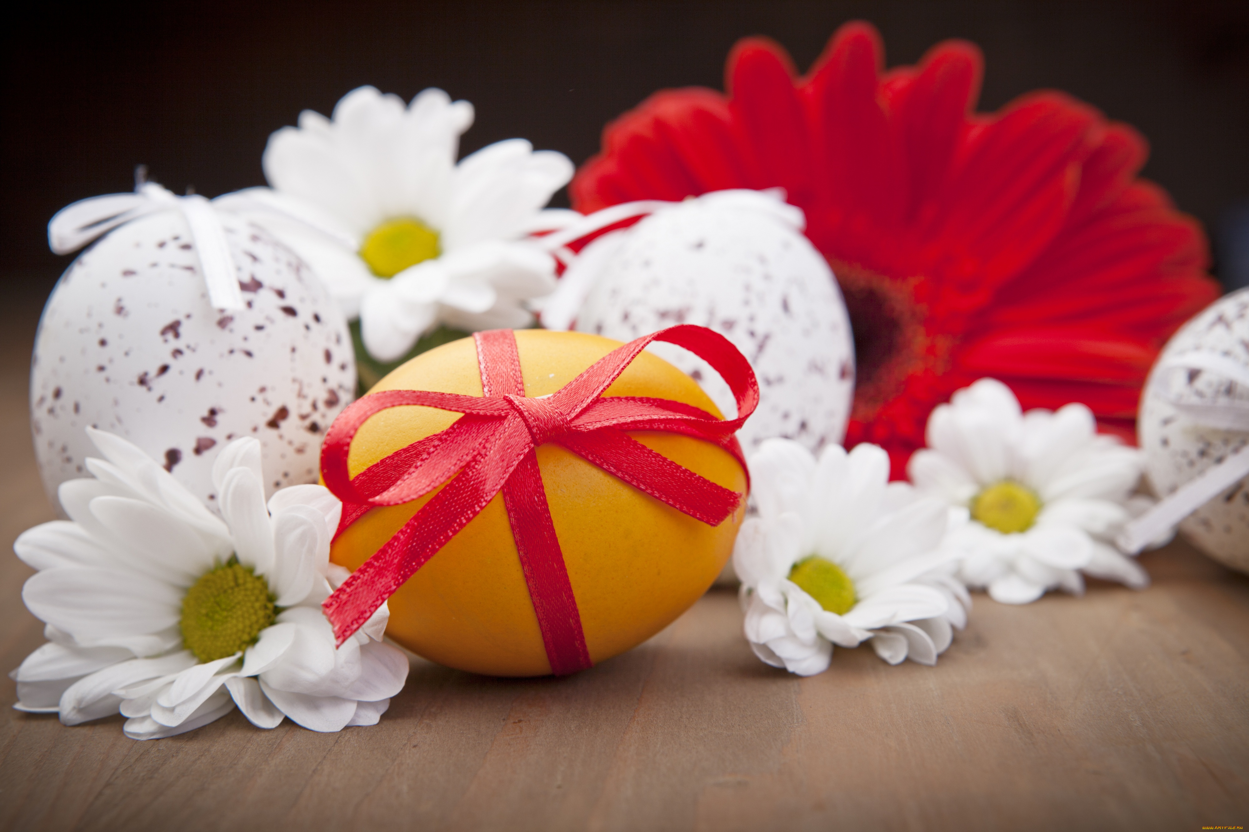 праздничные, пасха, цветы, яйцо, праздник