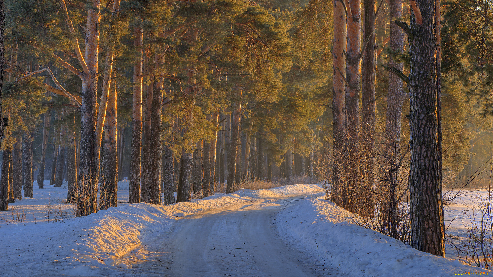 природа, дороги, дорога, деревья, лес, снег, зима