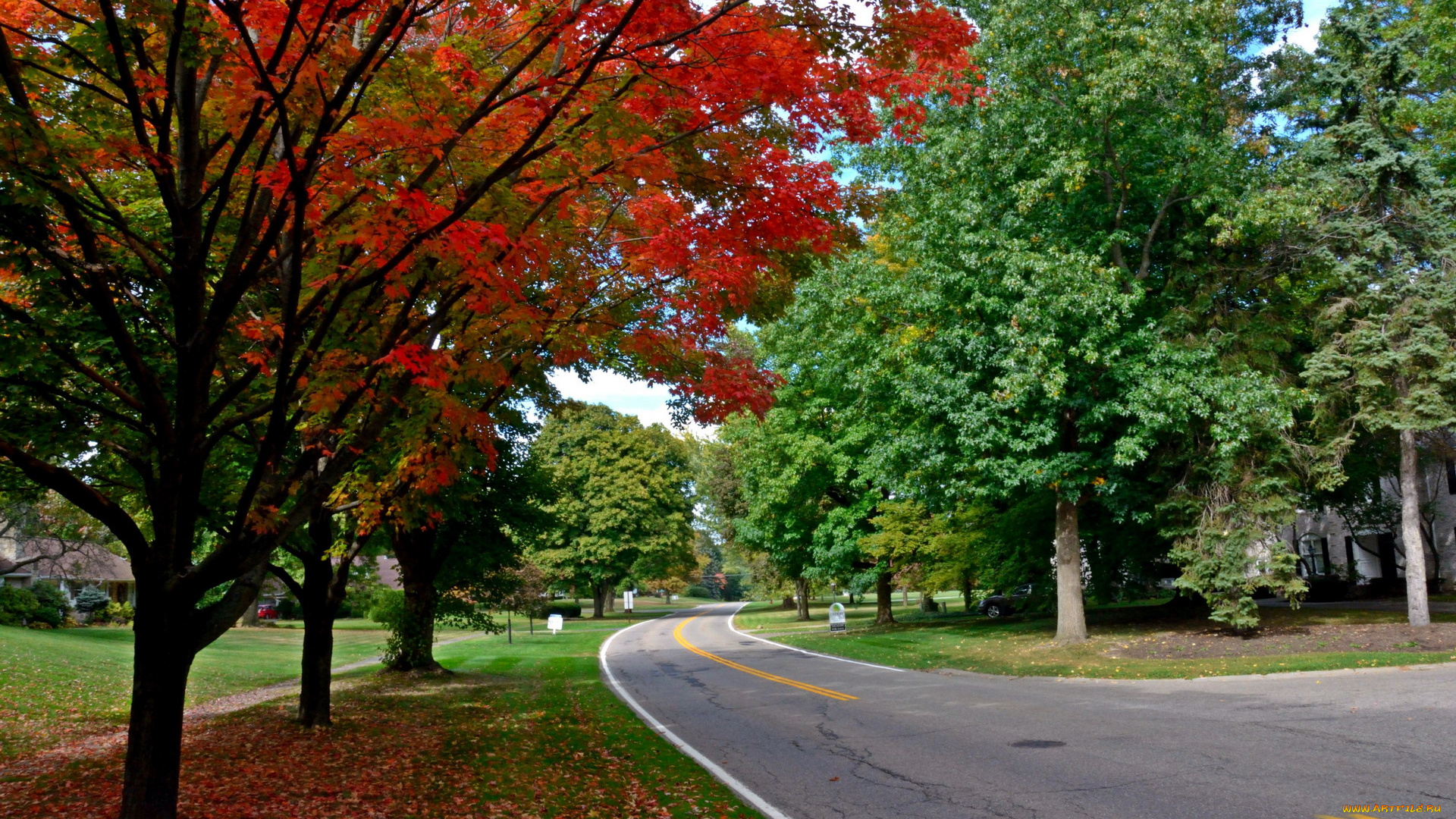 природа, дороги, разметка, осень, деревья
