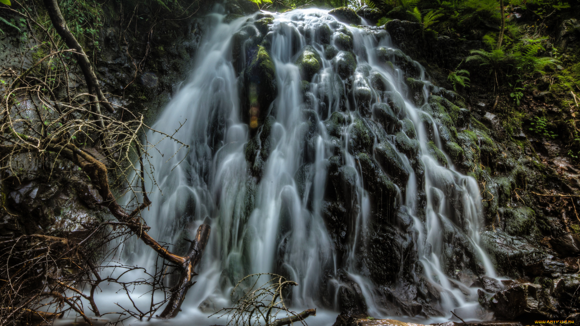 природа, водопады, водопад, лес, река