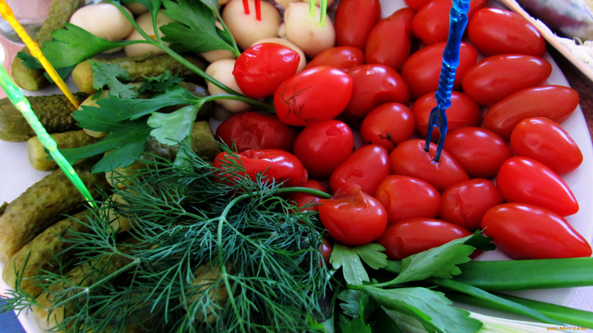 еда, овощи, петрушка, укроп, огурцы, помидоры