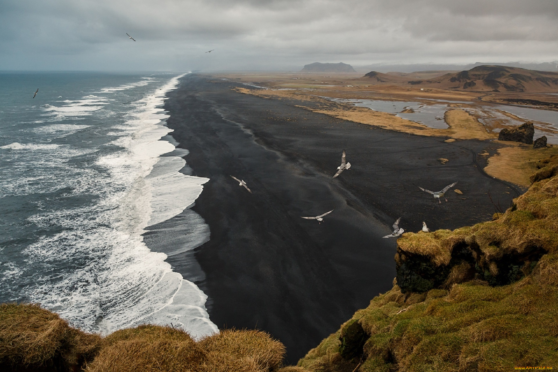 природа, побережье, dyrholaey, исландия, море, птицы, прибой, юрий, Чернов, скалы