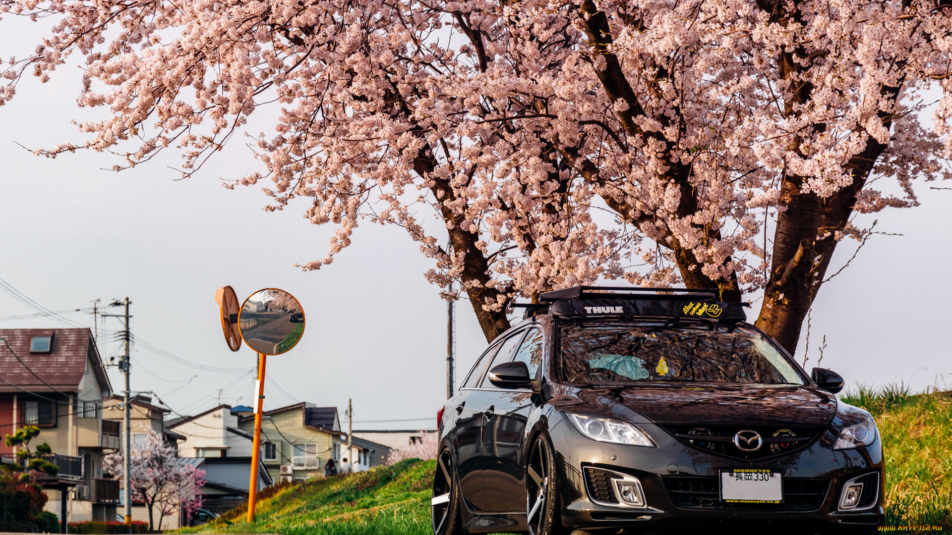 автомобили, mazda