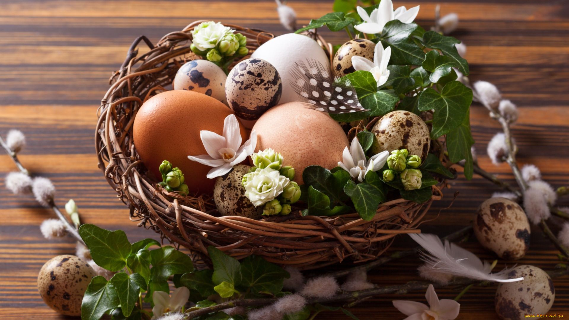 праздничные, пасха, верба, яйца, гнездо