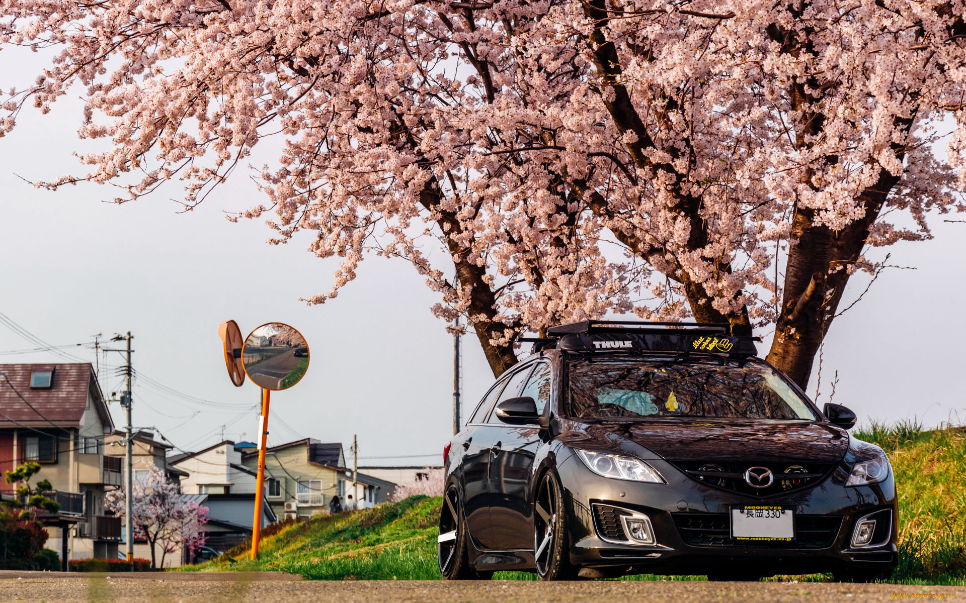 автомобили, mazda