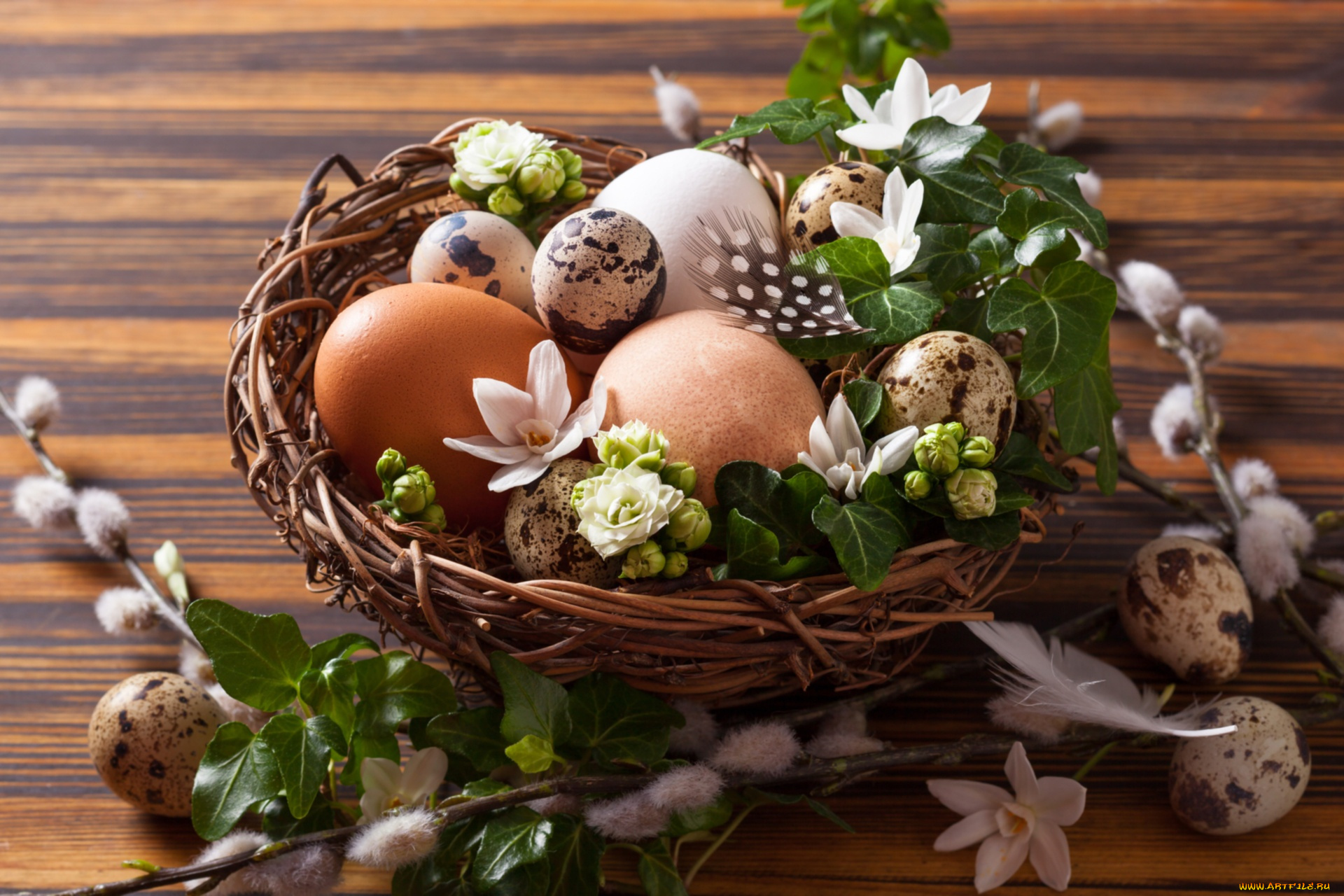 праздничные, пасха, верба, яйца, гнездо