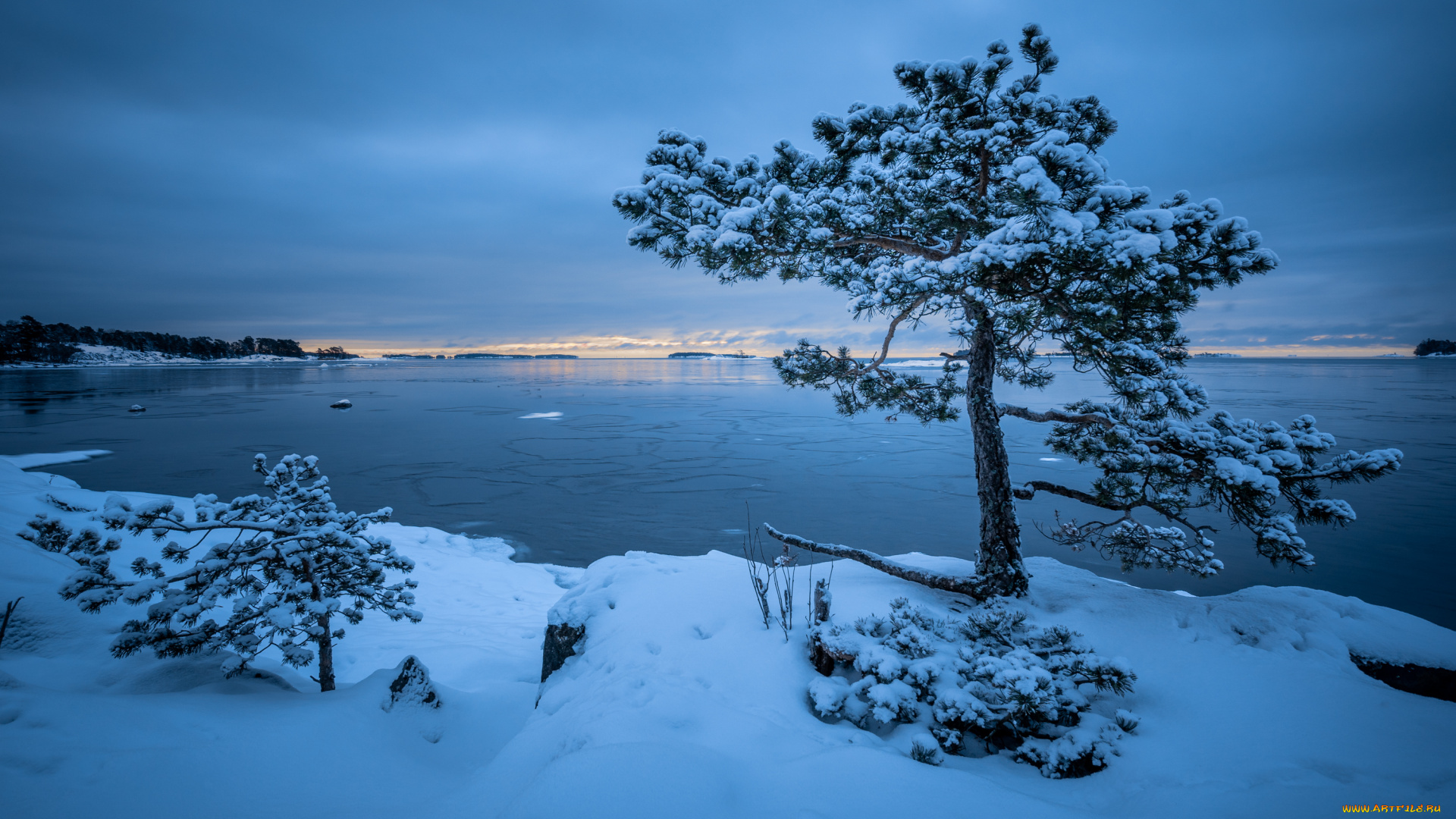 природа, зима, озеро, деревья, снег