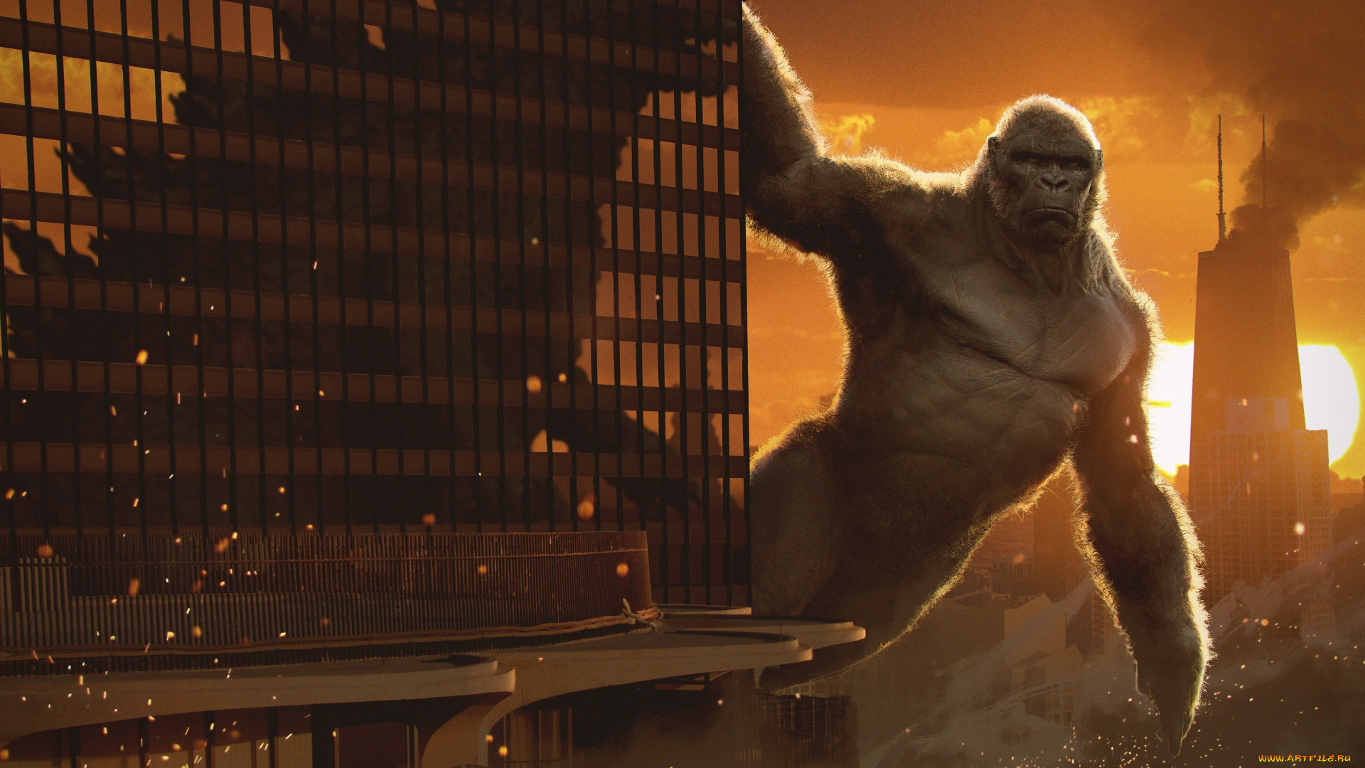 godzilla, vs, , kong, , , 2021, , кино, фильмы, , kong, годзилла, против, конга, 2021, фантастика, боевик, триллер, кадры, из, фильма