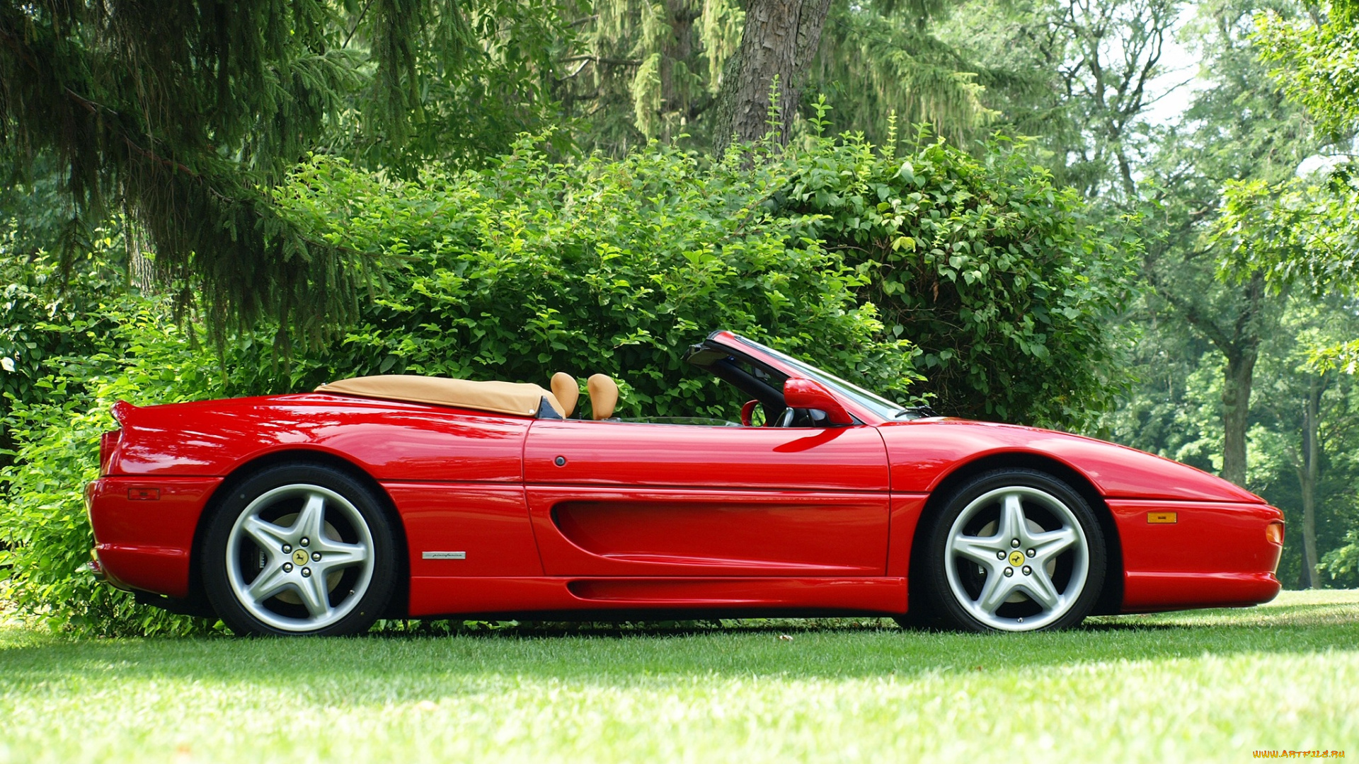 ferrari, 355, автомобили, гоночные, спортивные, италия, s, p, a