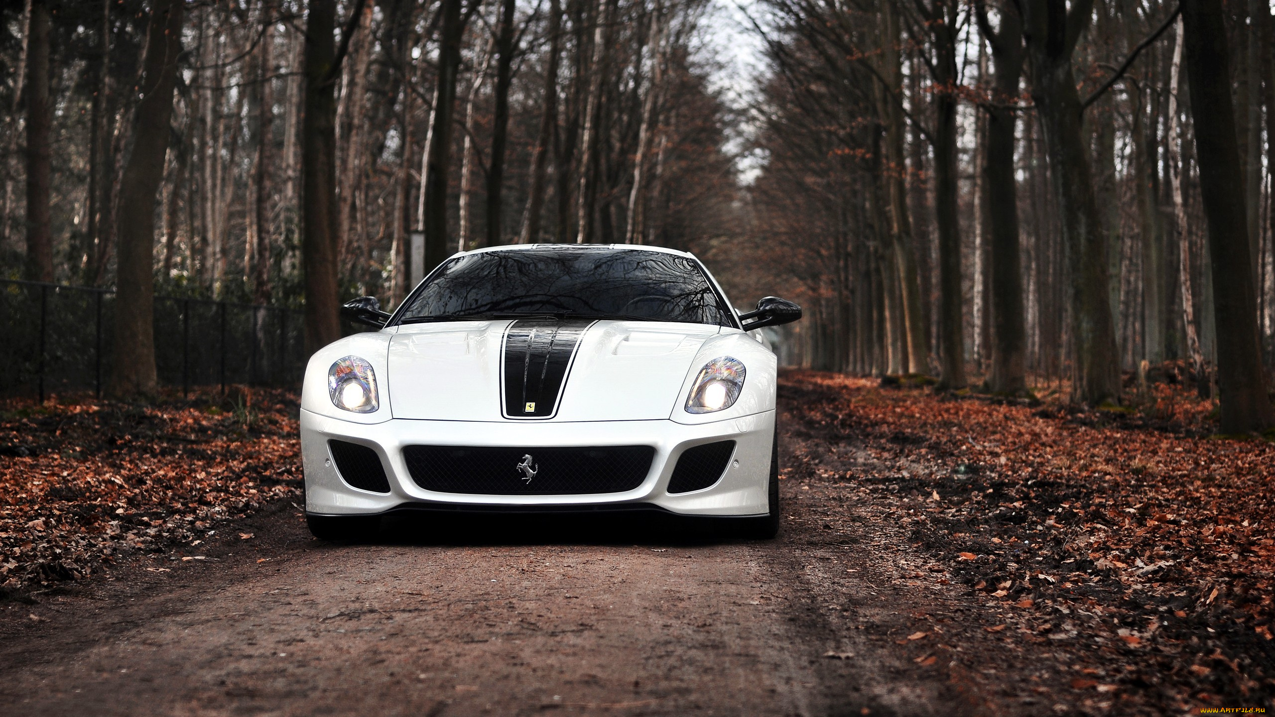 ferrari, 599, gtb, fiorano, автомобили, s, p, a, италия, спортивные, гоночные