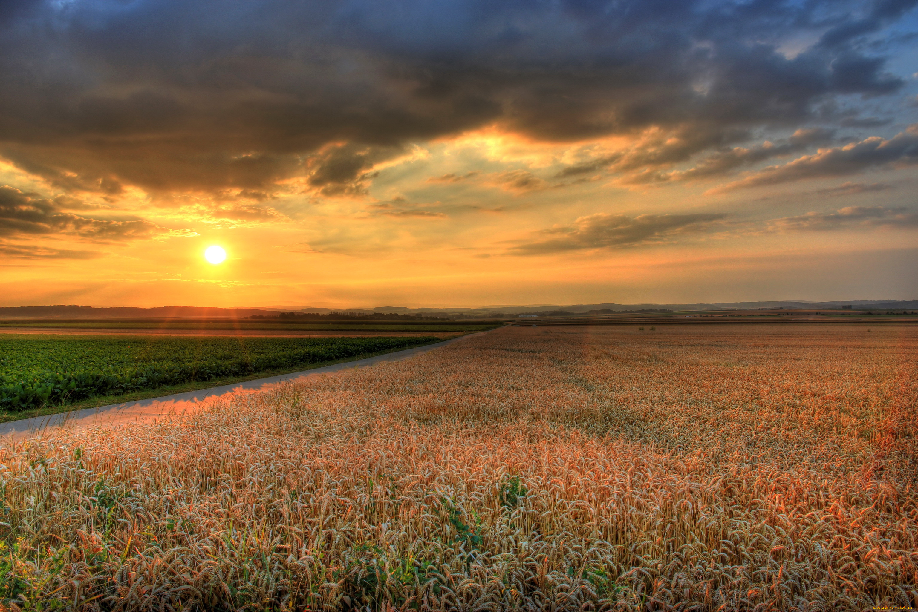 германия, гессен, природа, поля, закат