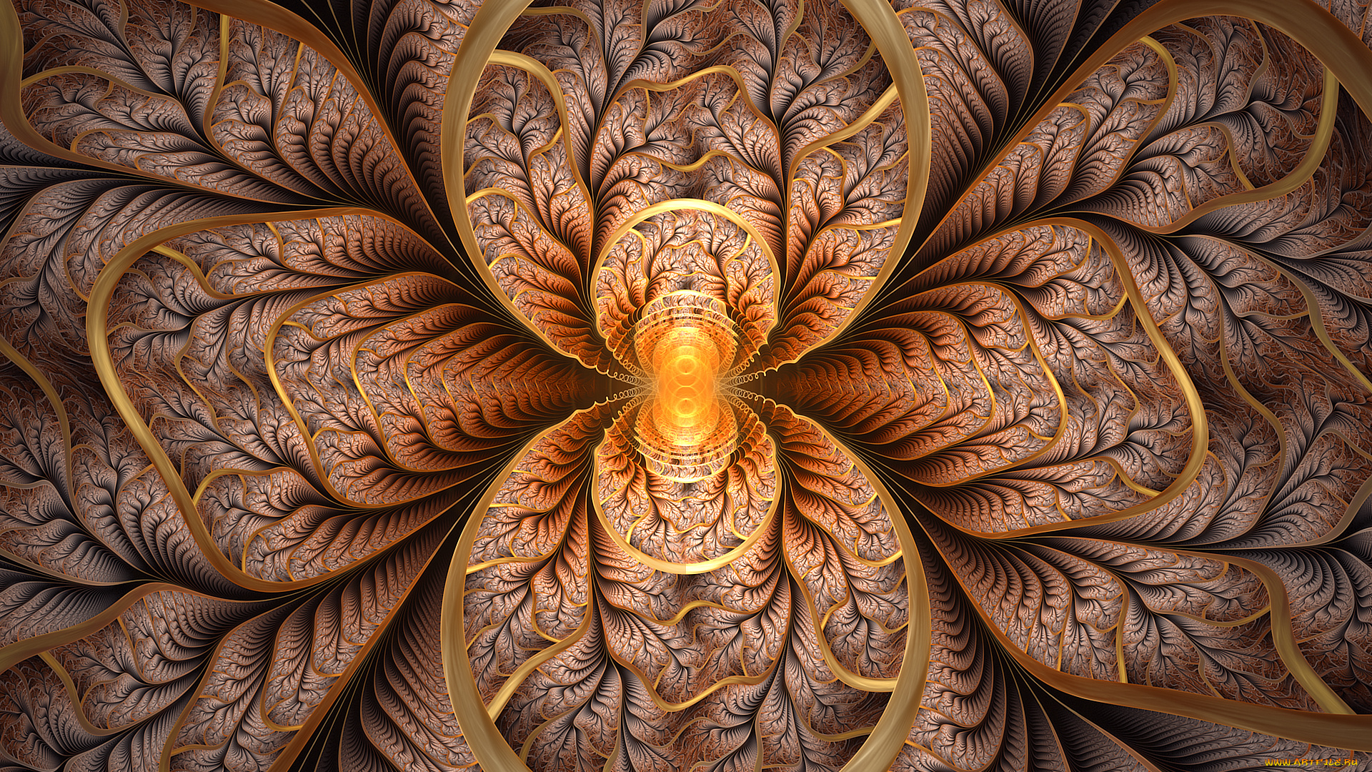 3д, графика, fractal, , фракталы, узор, фон, цвета