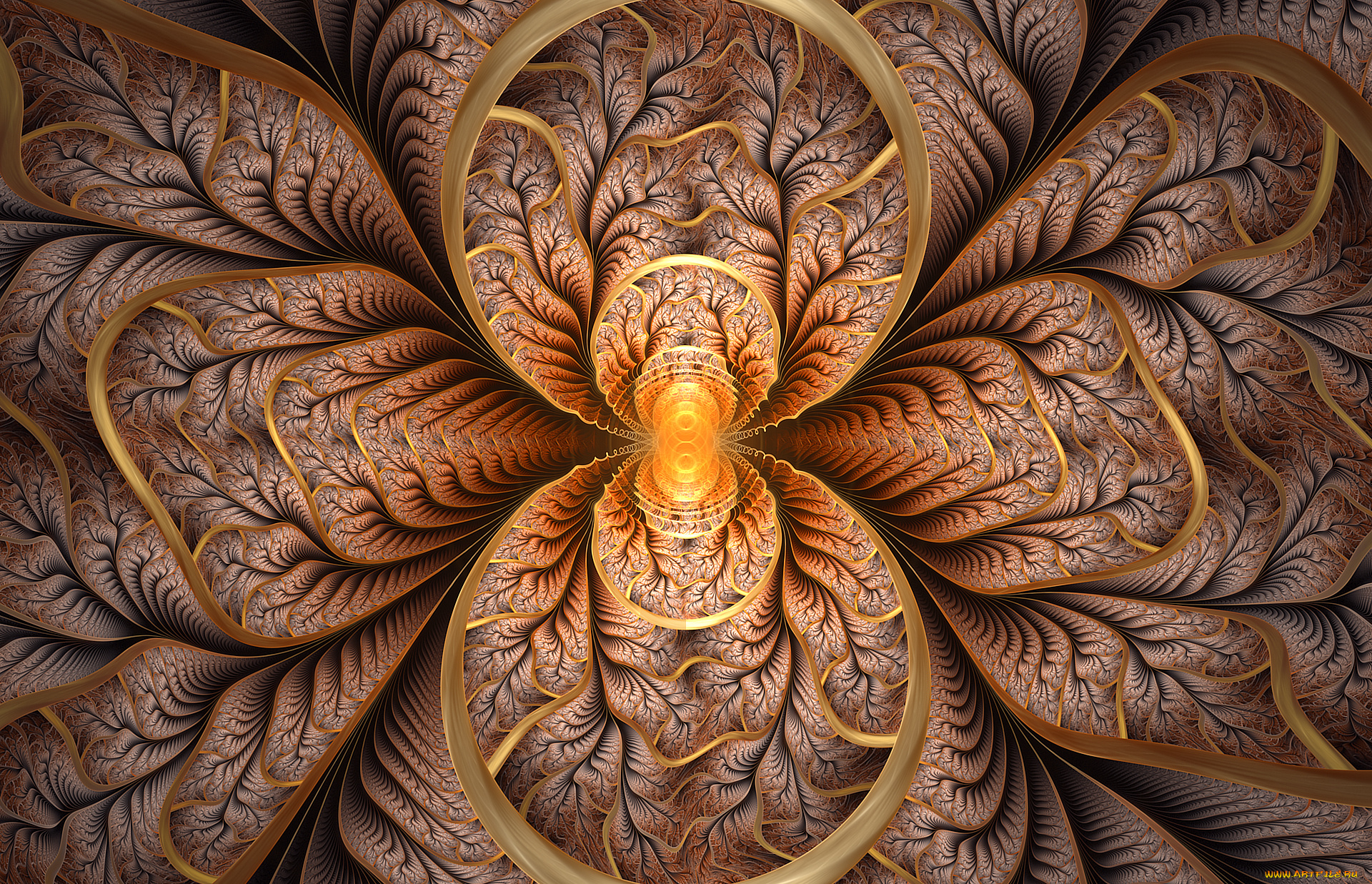 3д, графика, fractal, , фракталы, узор, фон, цвета