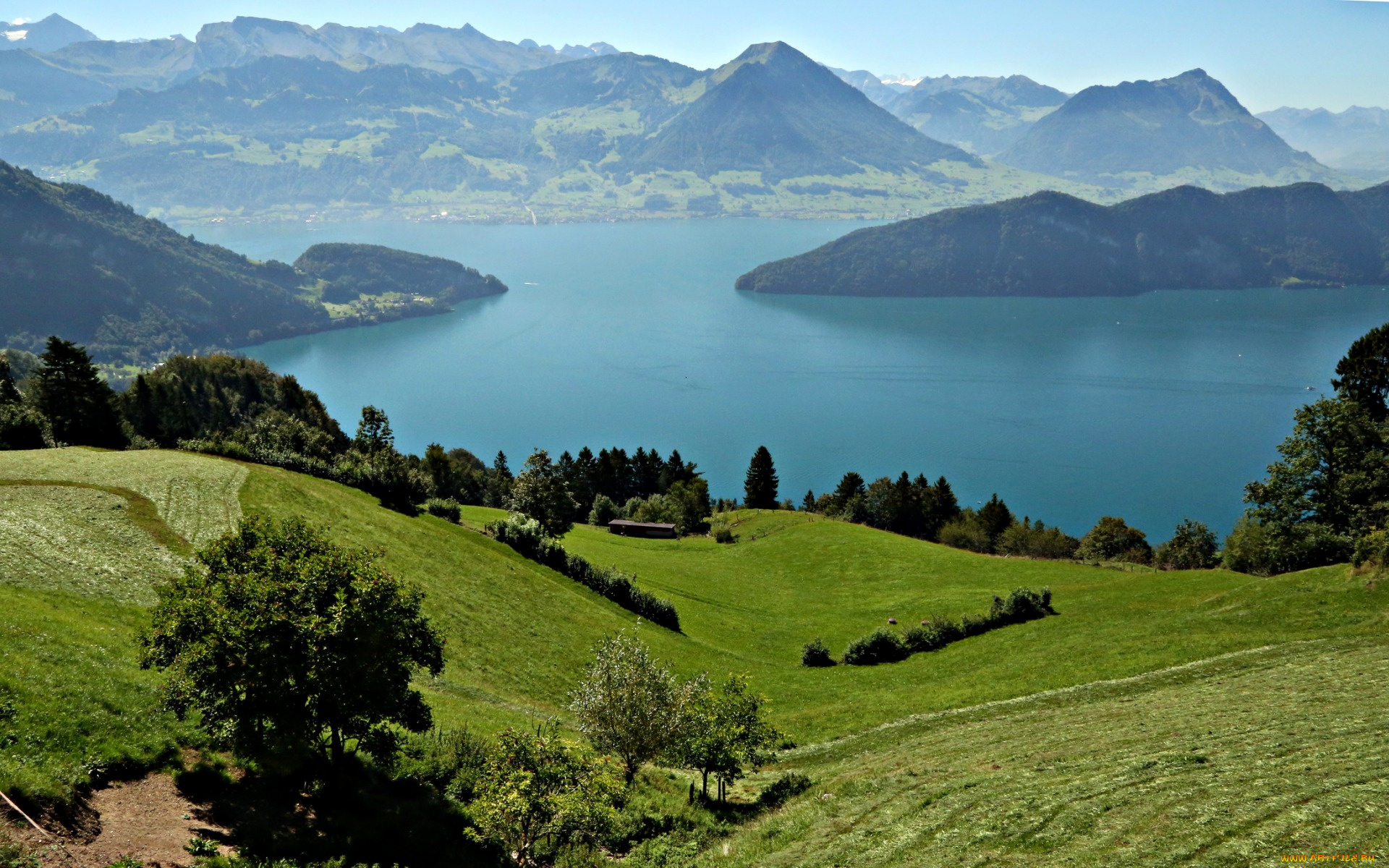 природа, реки, озера, lake, lucerne, озеро, луга, поля, горы, швейцария