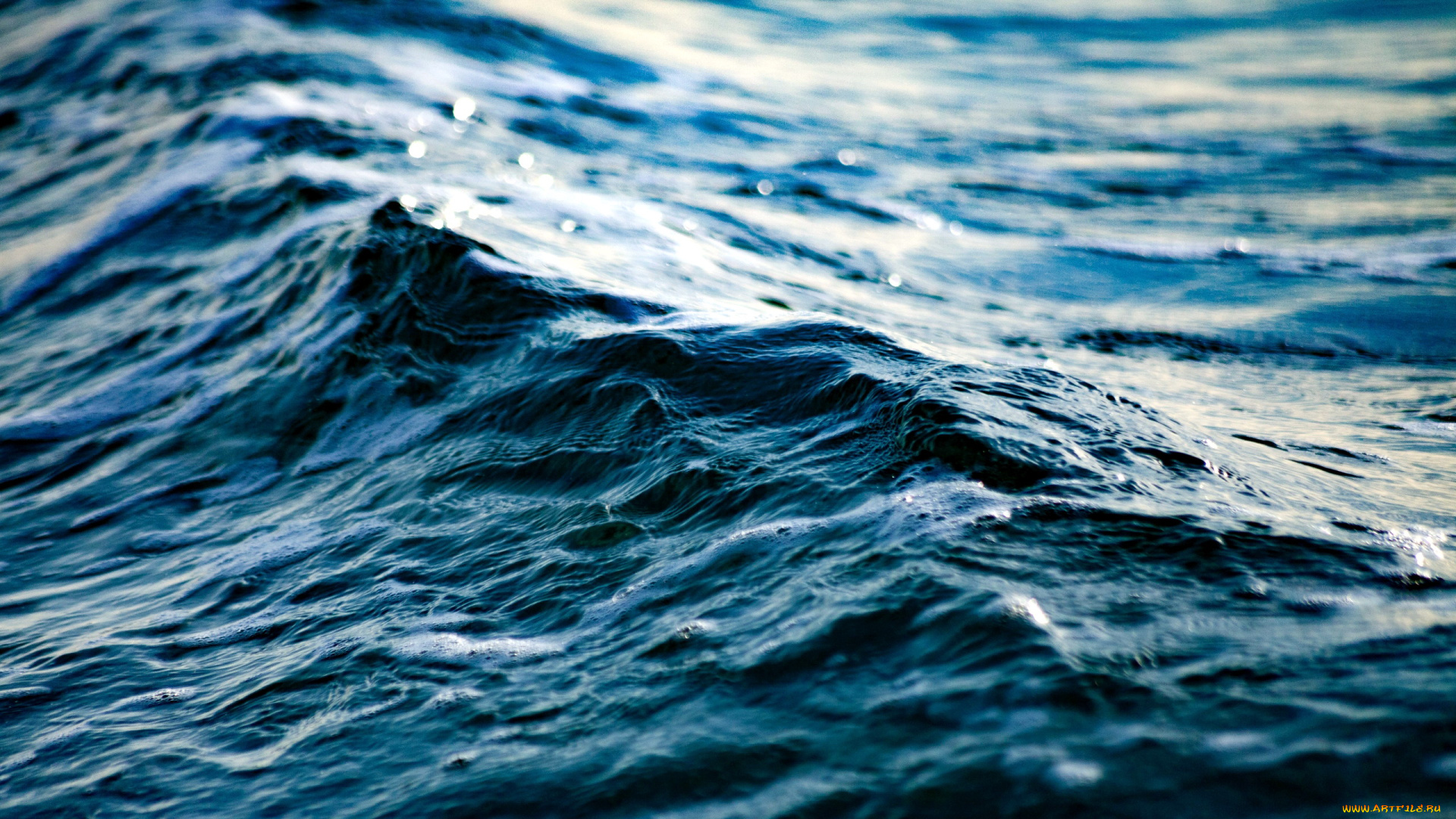 природа, моря, океаны, волна, вода