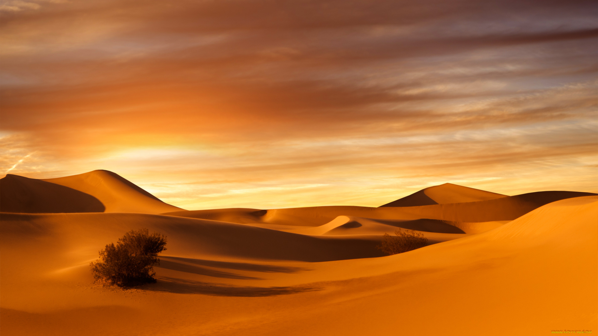 природа, пустыни, пустыня, песок