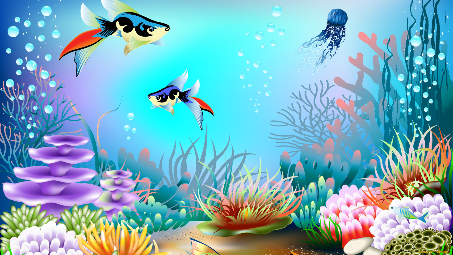 векторная, графика, животные, , animals, подводный, мир, кораллы, вектор, пузырьки, рыбы