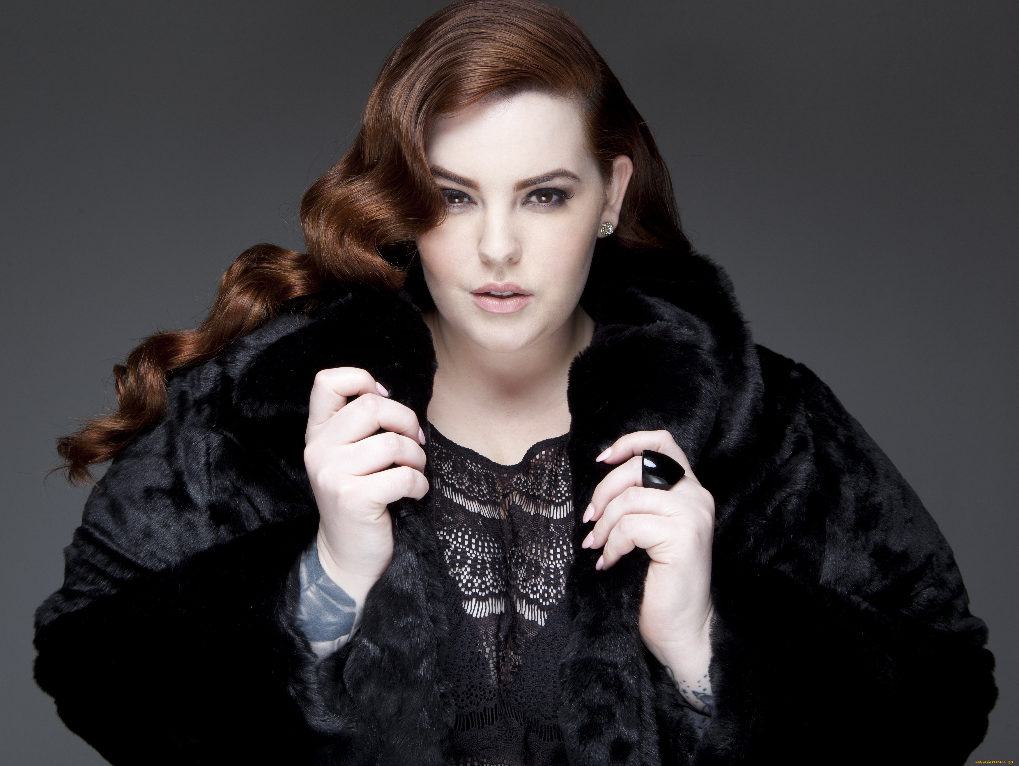 девушки, tess, holliday, tess, holliday