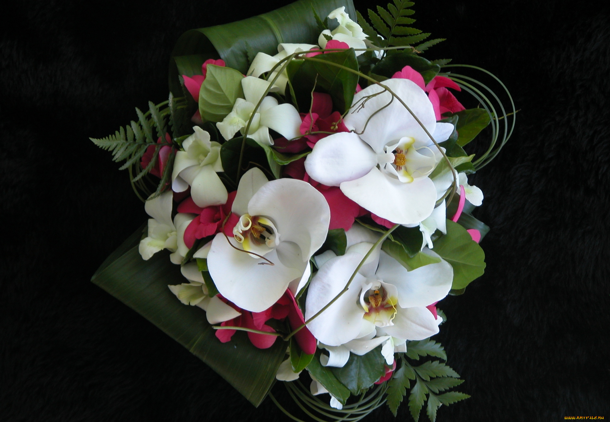 цветы, букеты, композиции, листья, орхидеи