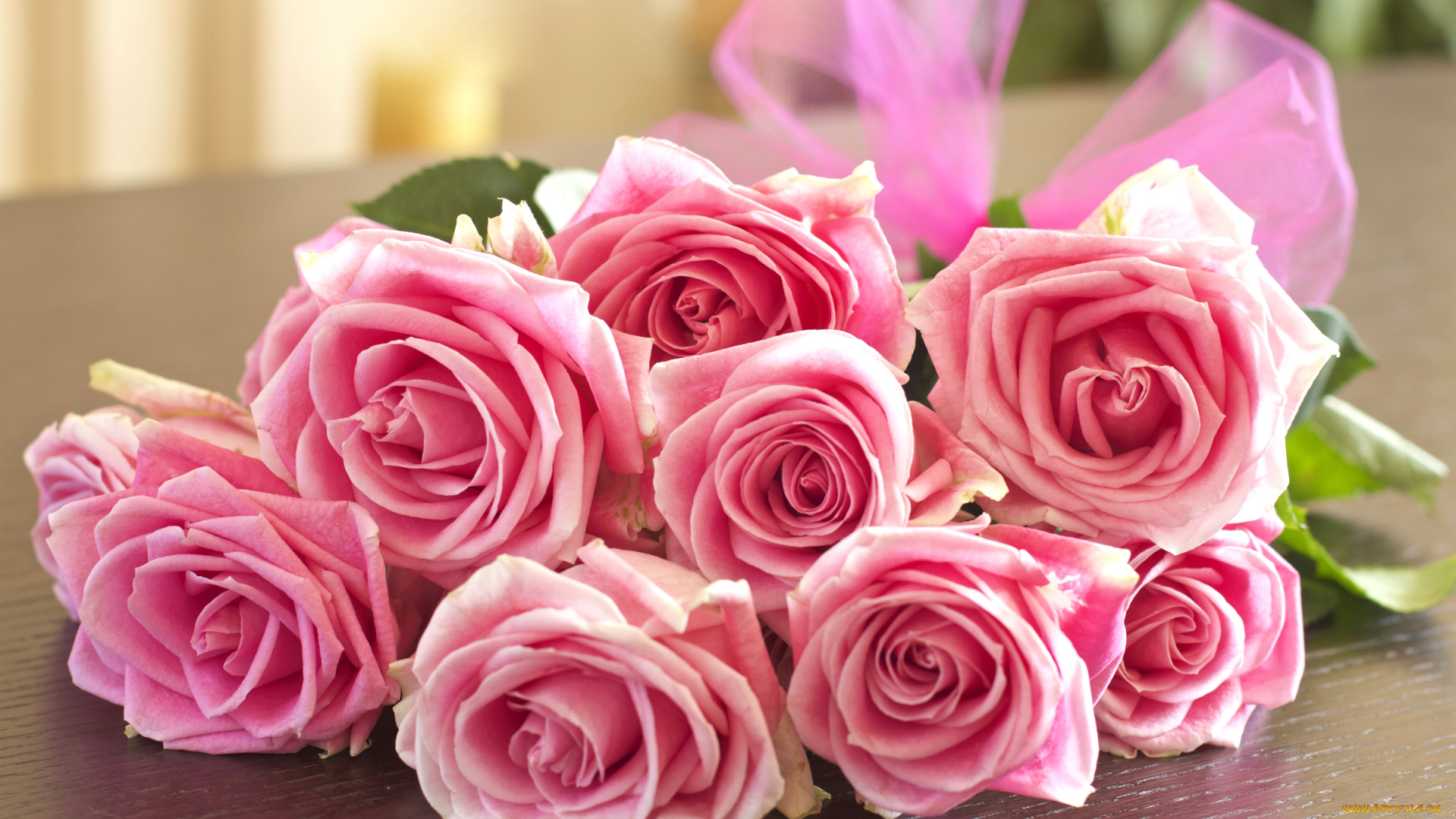 цветы, розы, бутоны, букет, розовые, бант