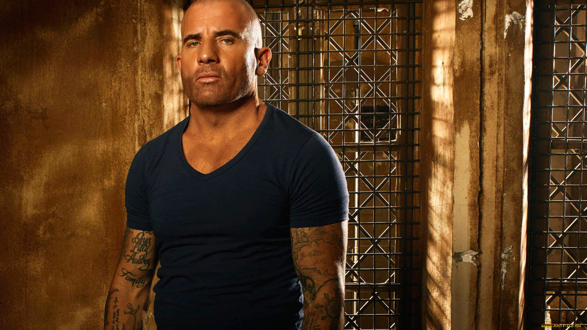 кино, фильмы, prison, break, , sequel, lincoln, burrows, dominic, purcell