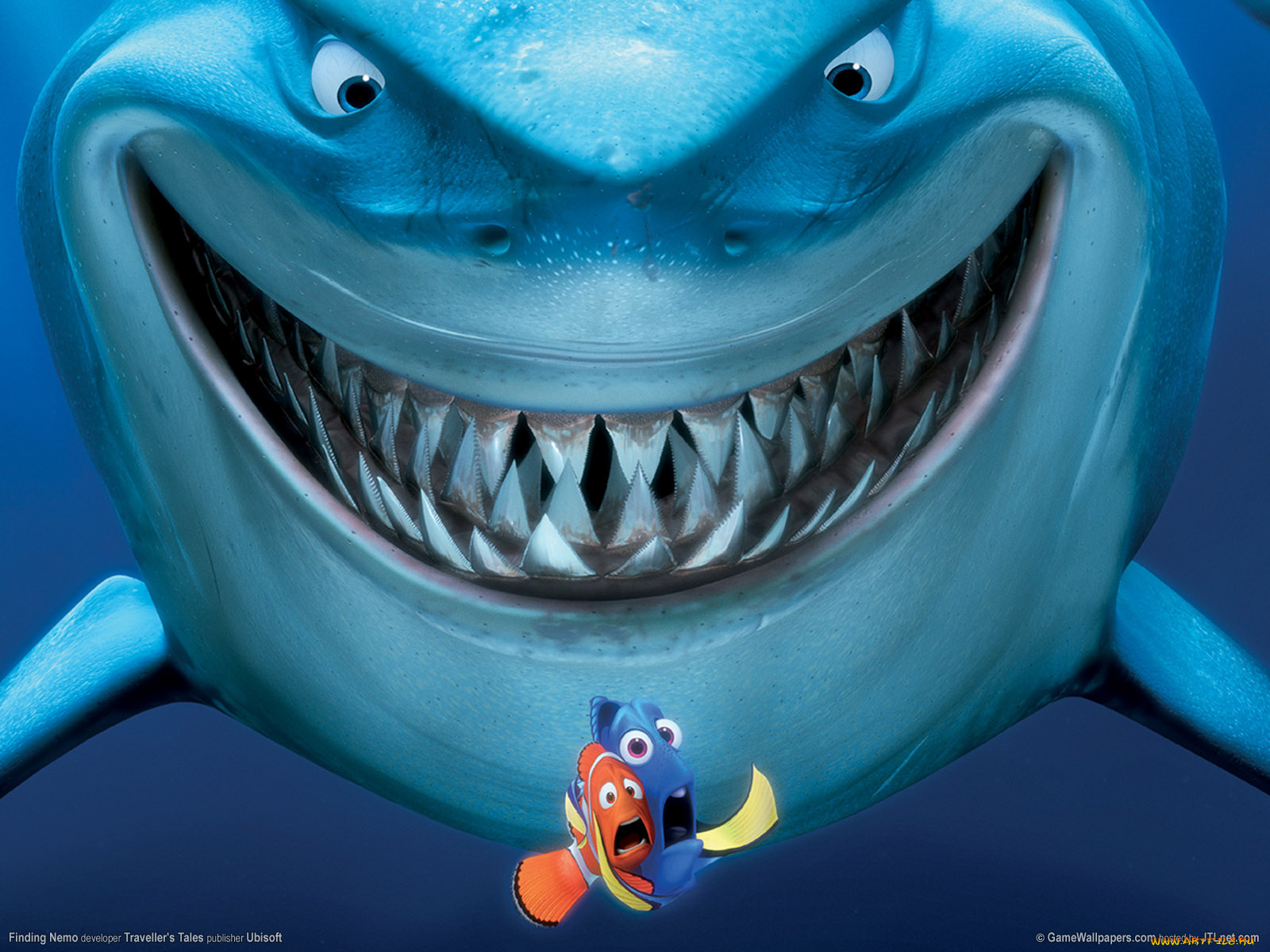 мультфильмы, finding, nemo