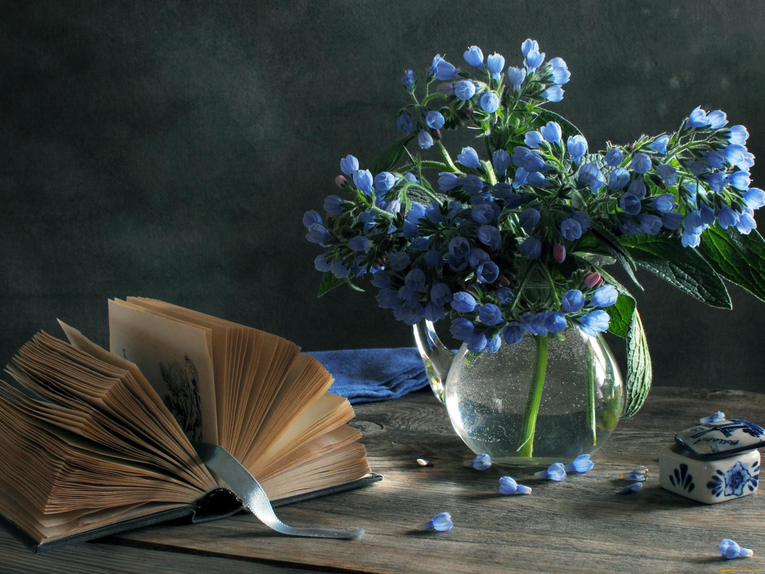 цветы, луговые, полевые, натюрморт, лента, голубые, ваза, книга, шкатулка, закладка