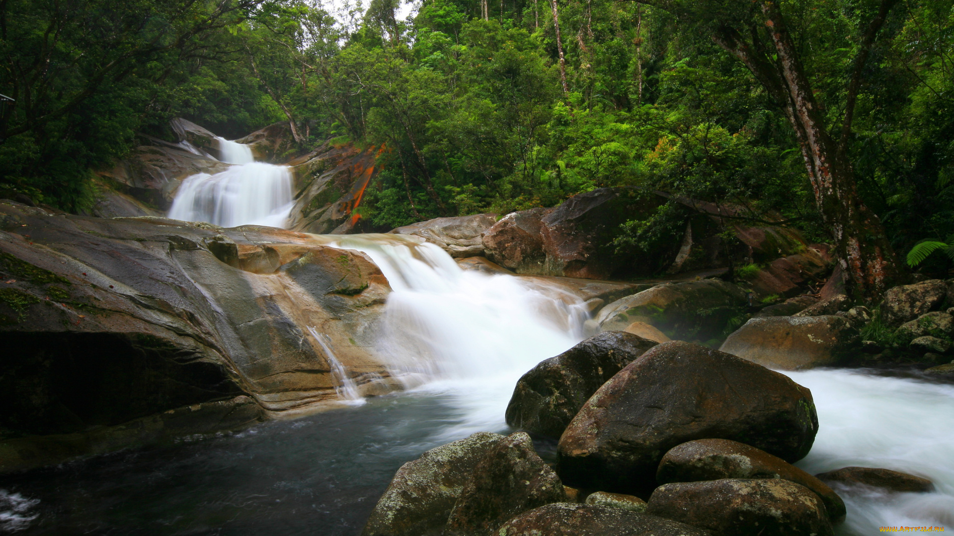 queensland, australia, природа, водопады, водопад