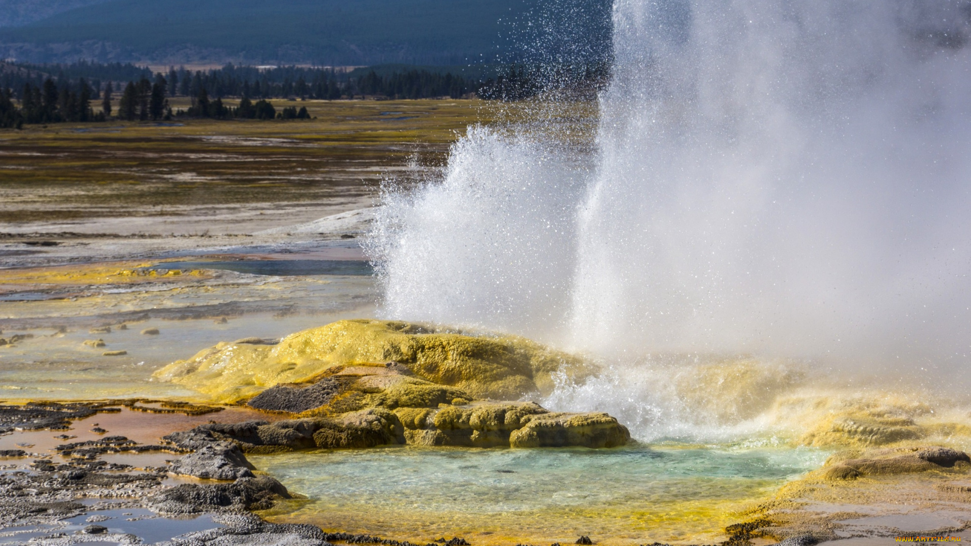 yellowstone, national, park, природа, стихия, гейзер, озеро, лес, холмы