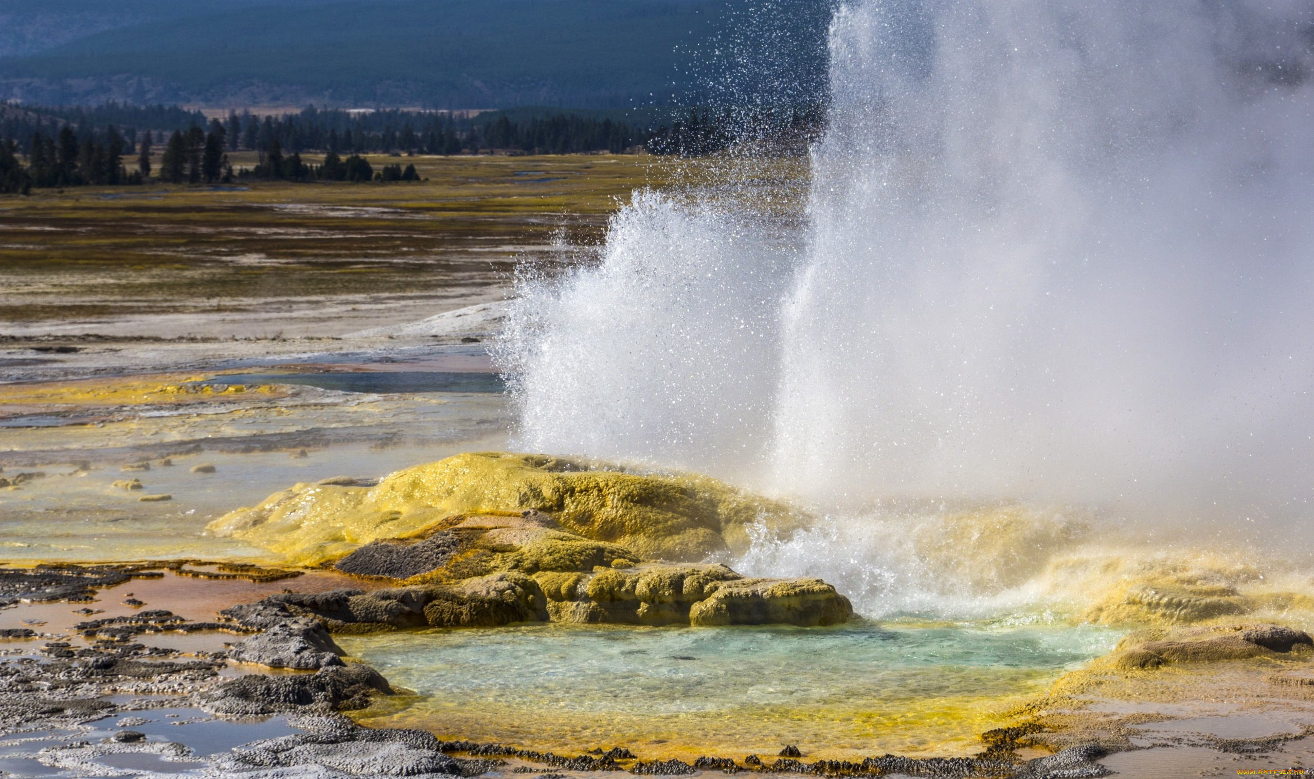 yellowstone, national, park, природа, стихия, гейзер, озеро, лес, холмы