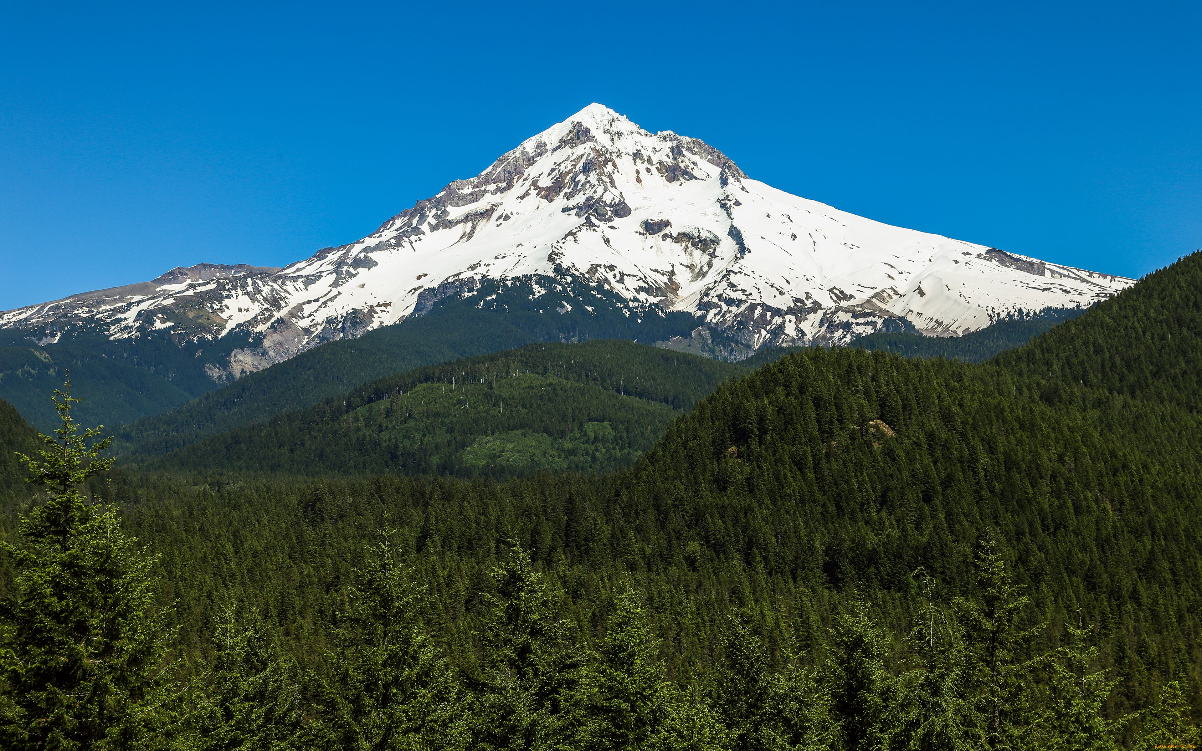 mount, hood, oregon, природа, горы, вершина, маунт-худ, вулкан, лес