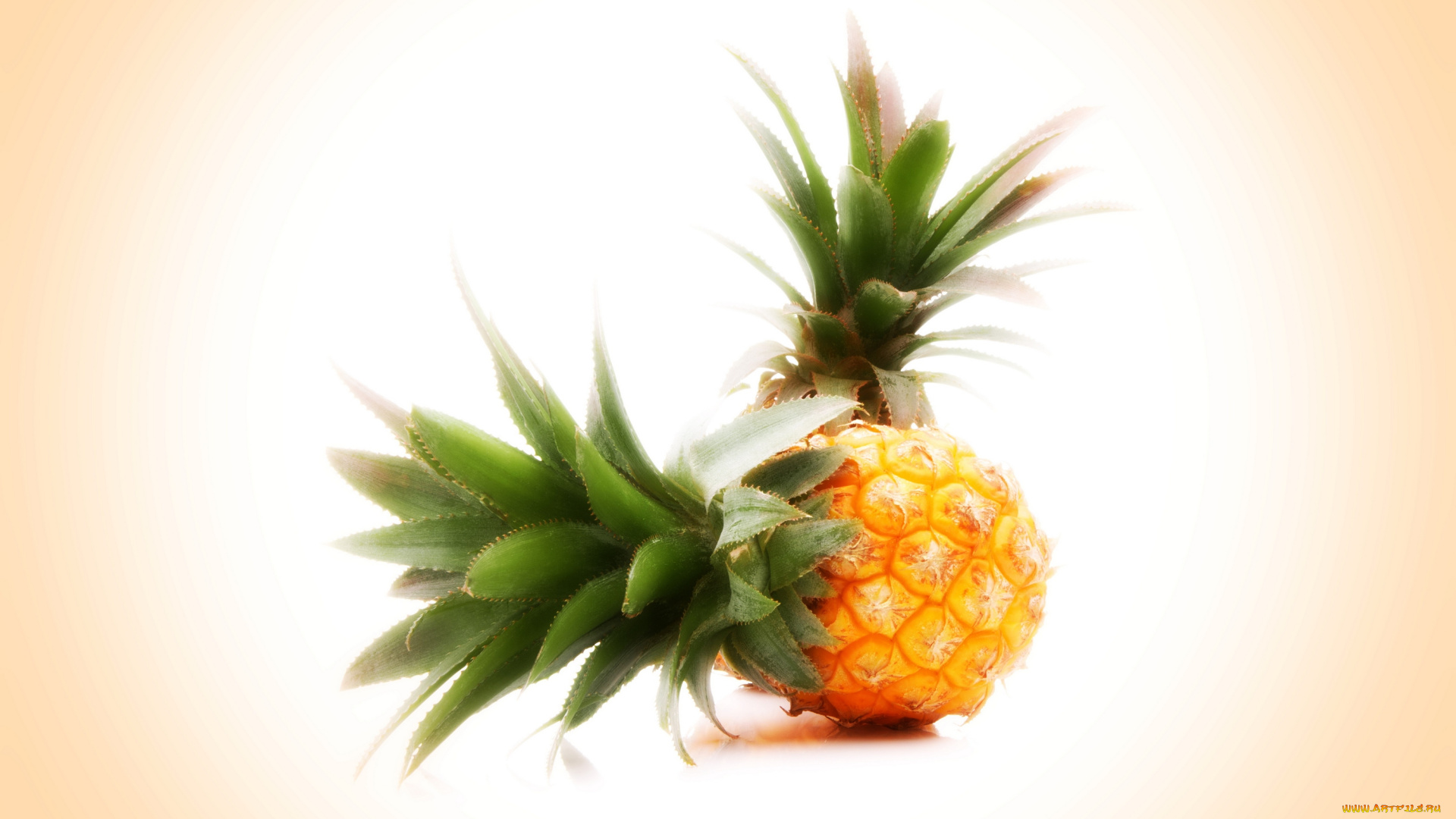 еда, ананас, фон, фрукт, background, fruit, pineapple