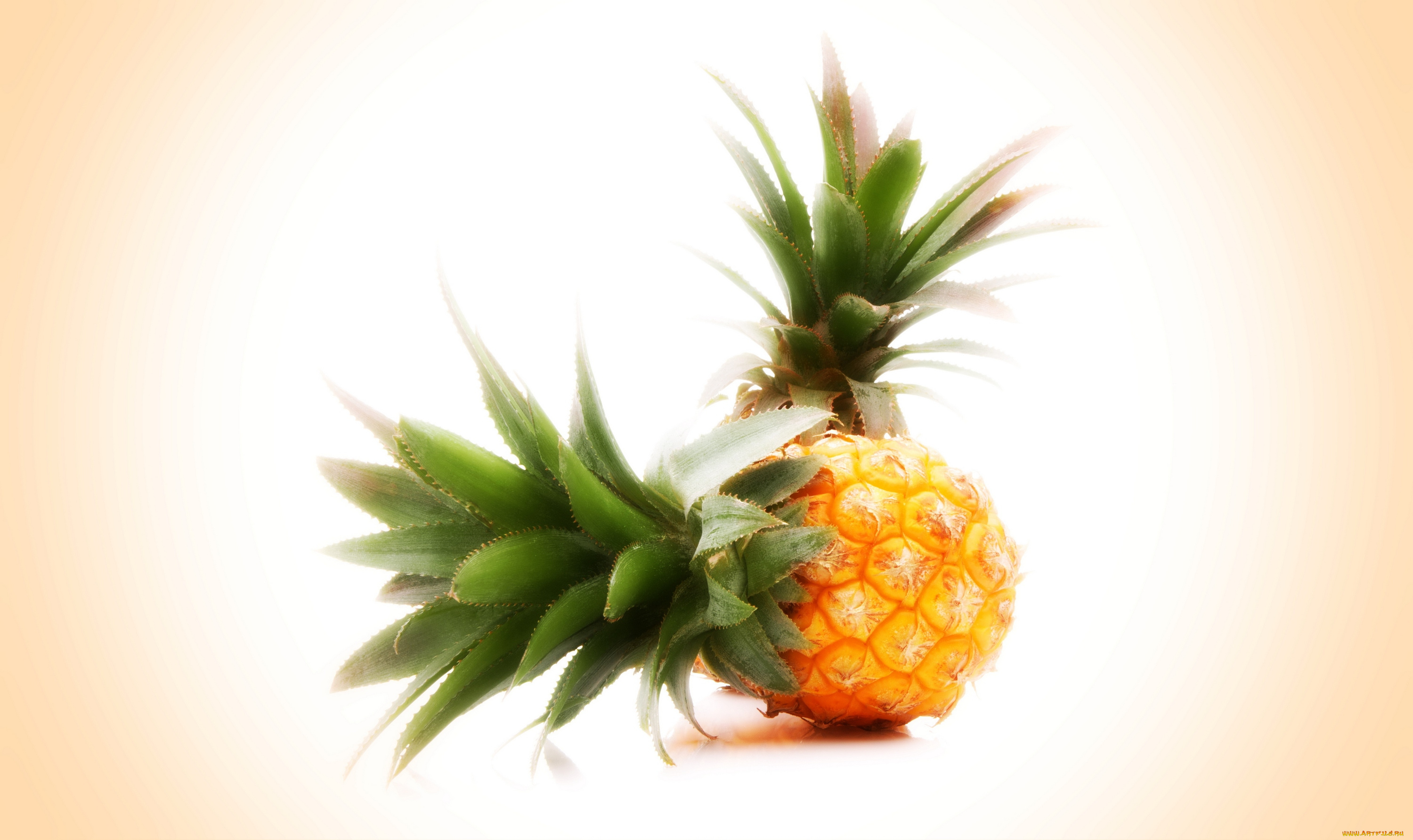 ананас фрукты pineapple fruit скачать
