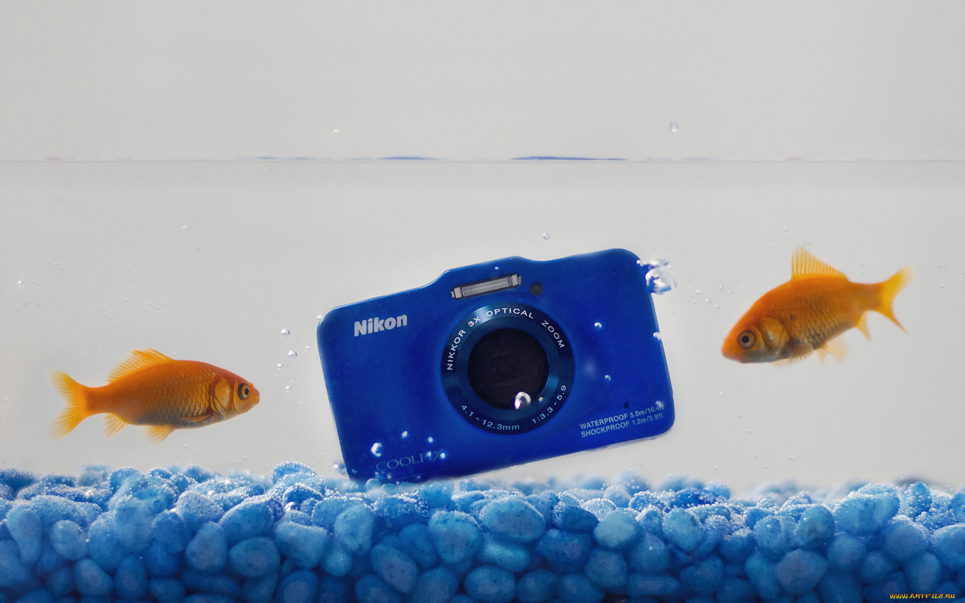 бренды, nikon, камера, никон, фотоаппарат, камни, рыбки, вода, синий