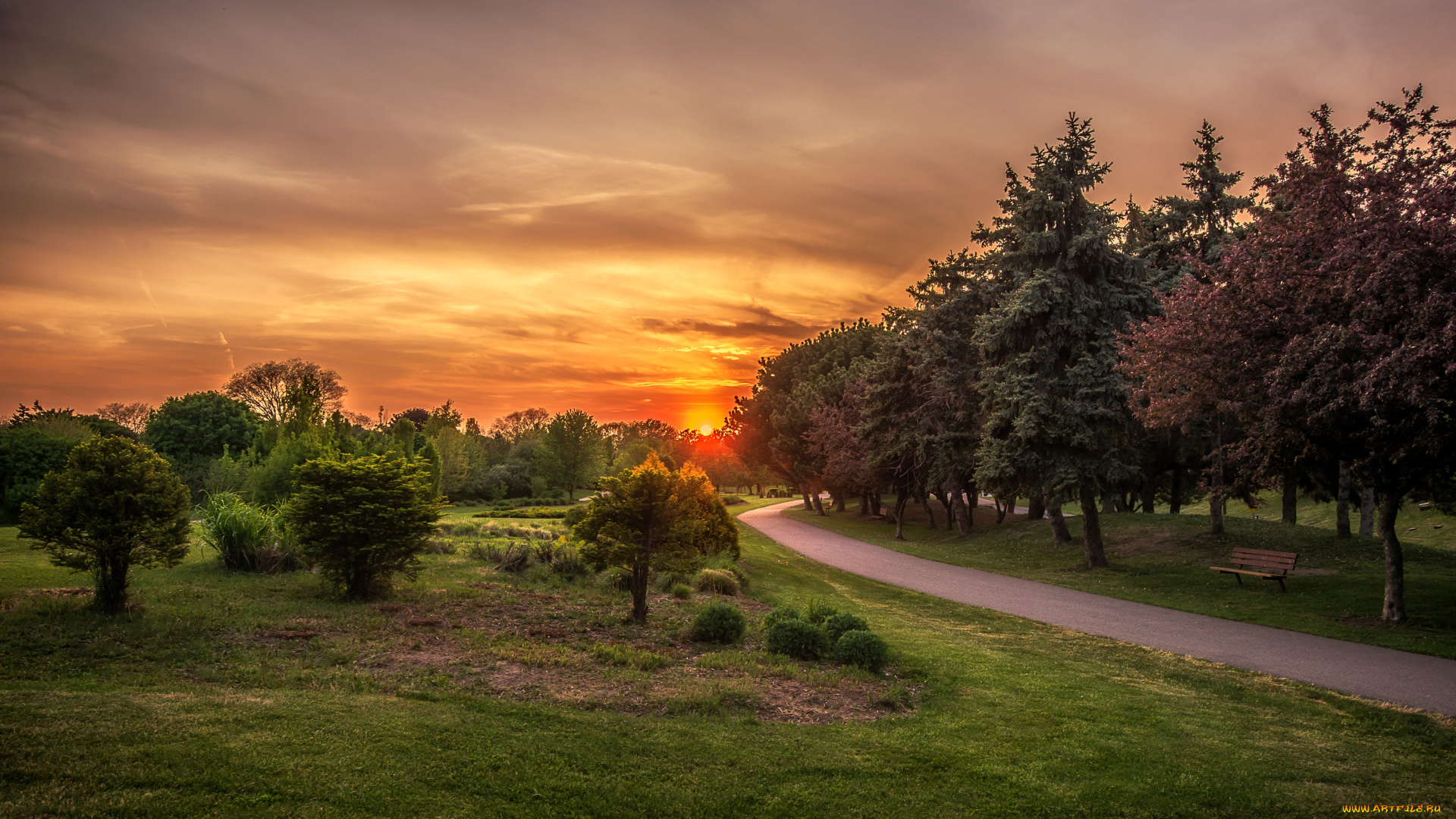 природа, парк, ontario, солнце, небо, скамейки, дорожка, деревья, рассвет