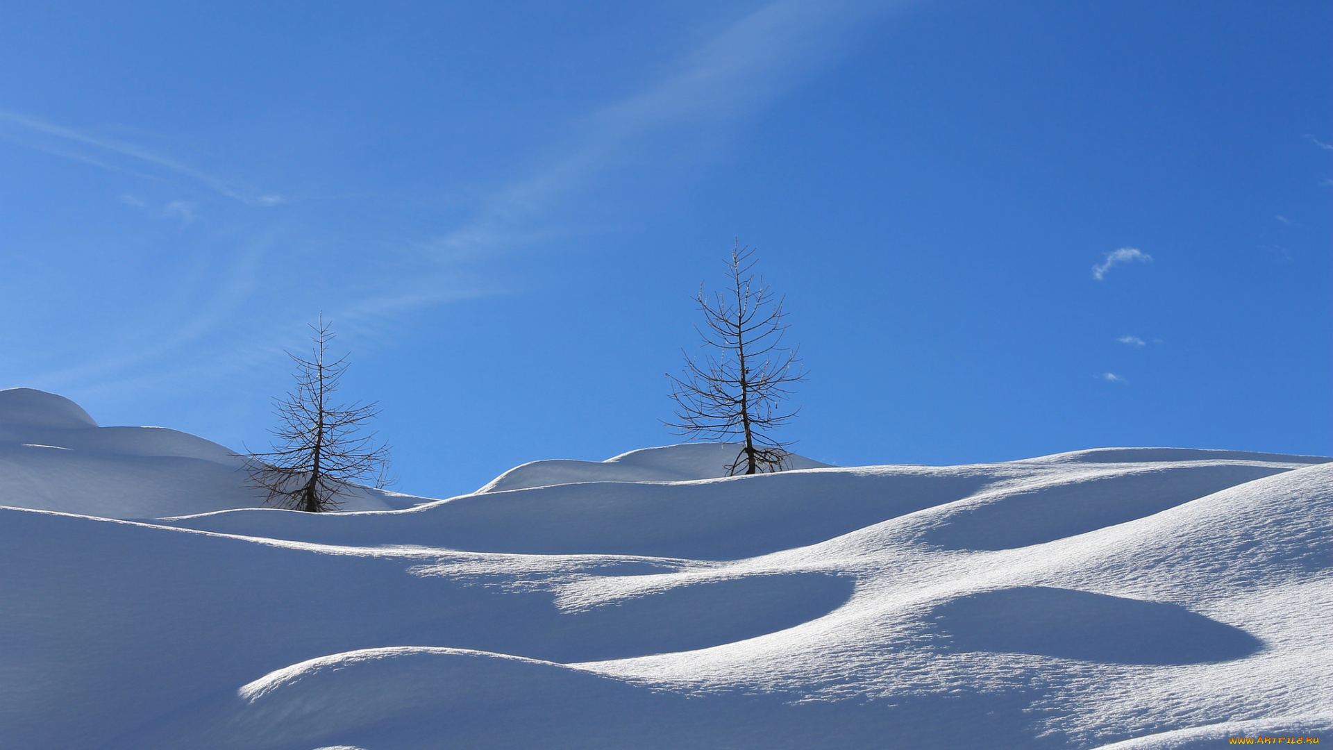 природа, зима, снег, деревце, холмы, небо, склон